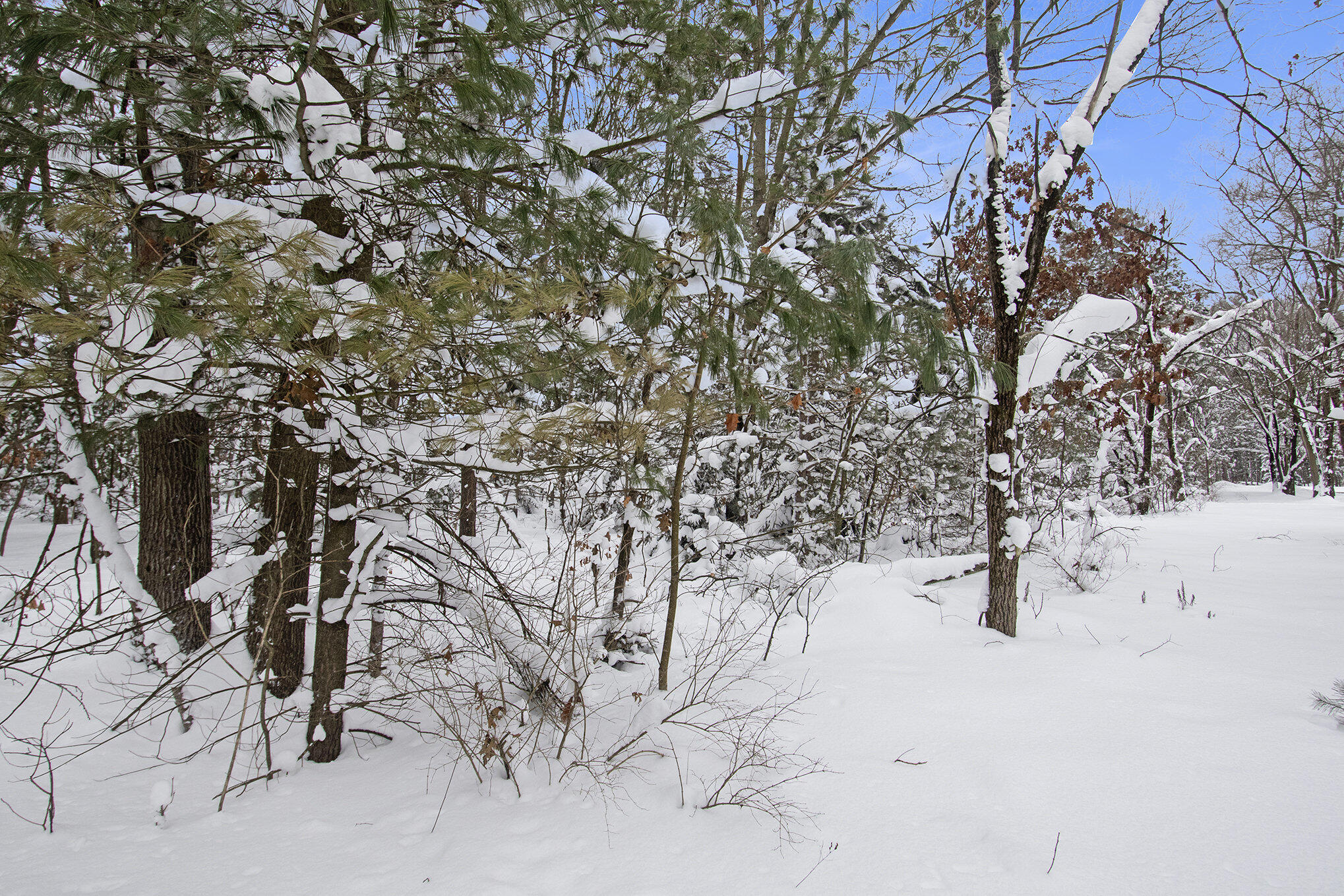 VL 5.27 ACRES Whitehall Road