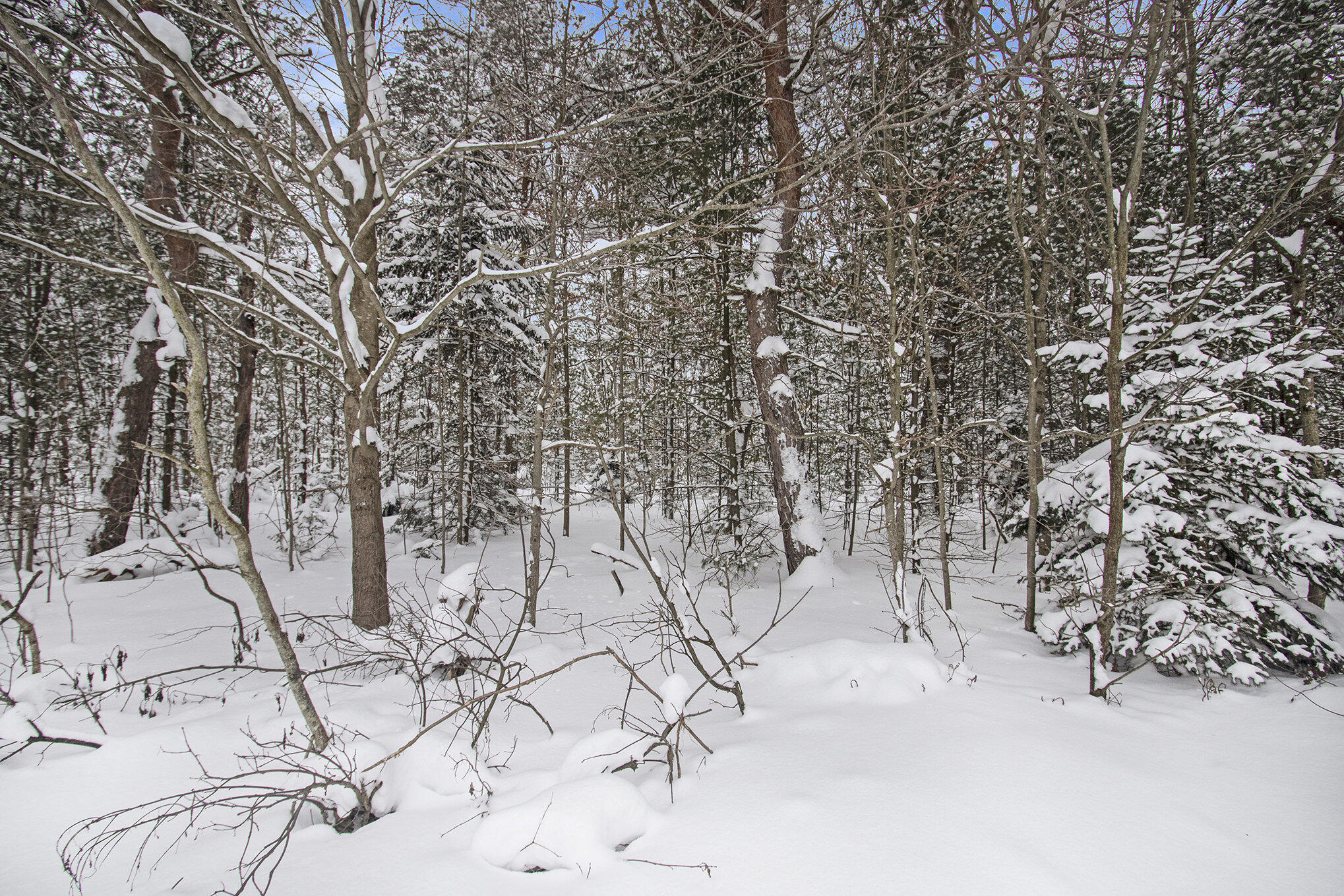 VL 5.27 ACRES Whitehall Road