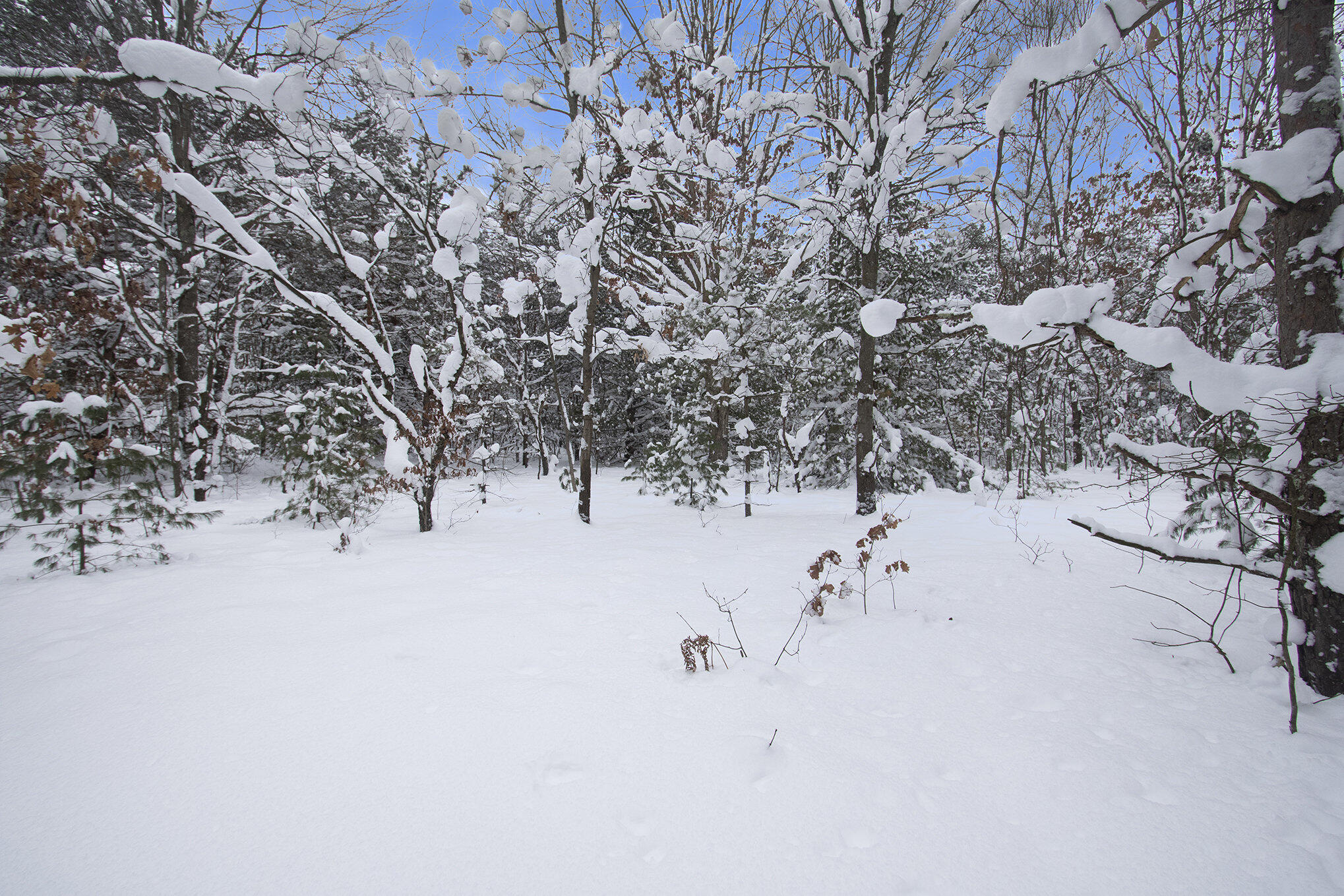 VL 5.27 ACRES Whitehall Road