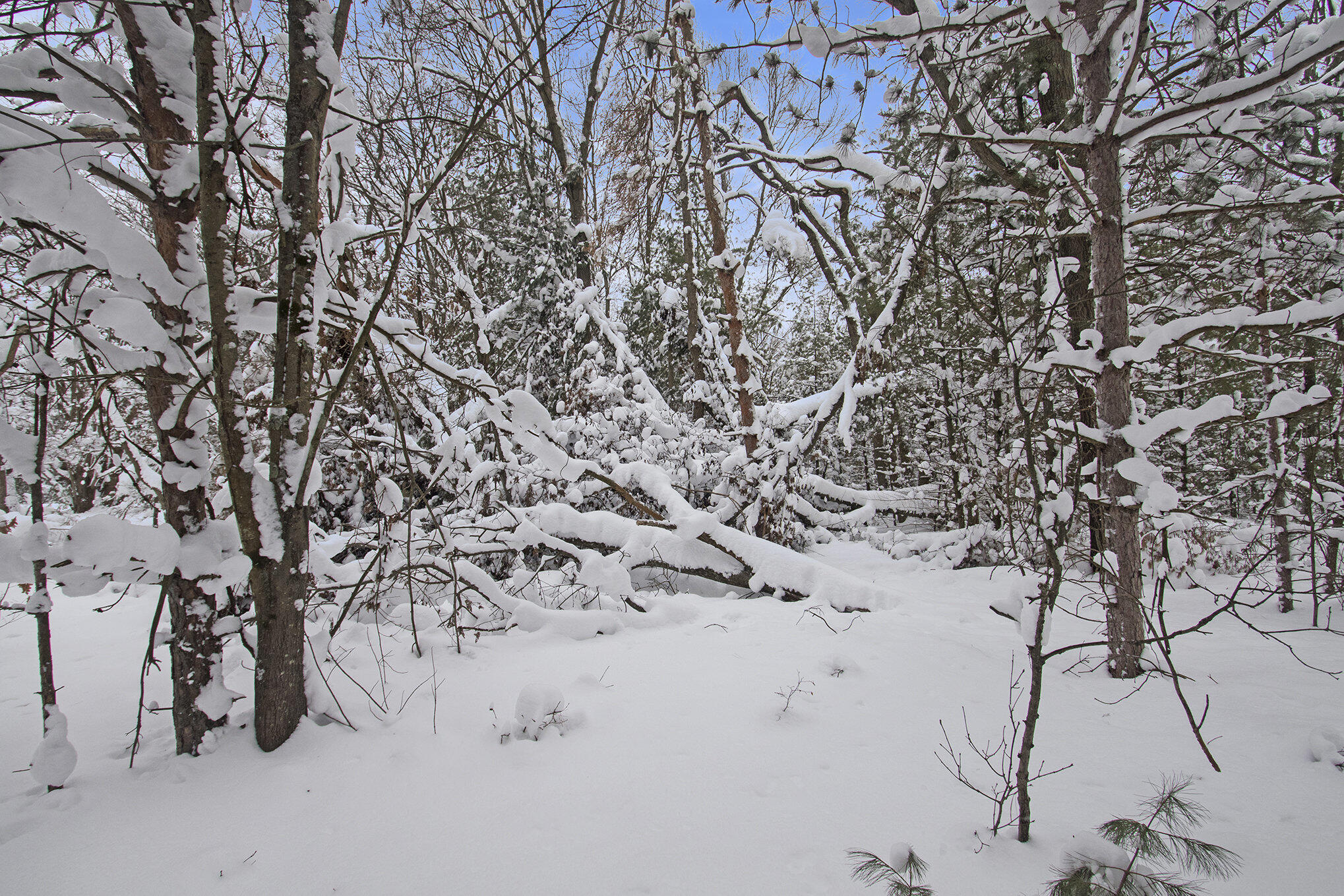 VL 5.27 ACRES Whitehall Road