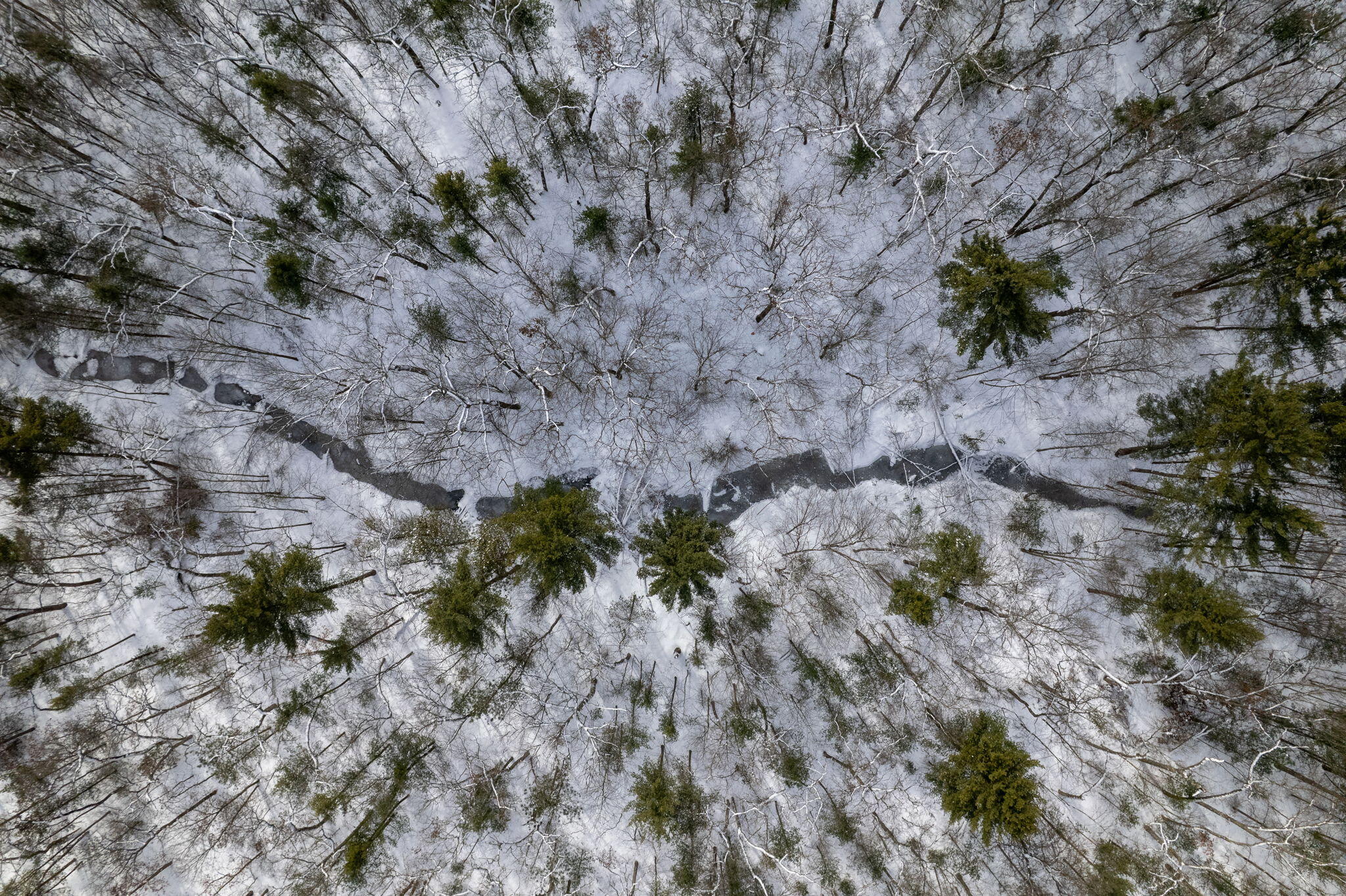 0 Crystal Lake Road, Parcel L