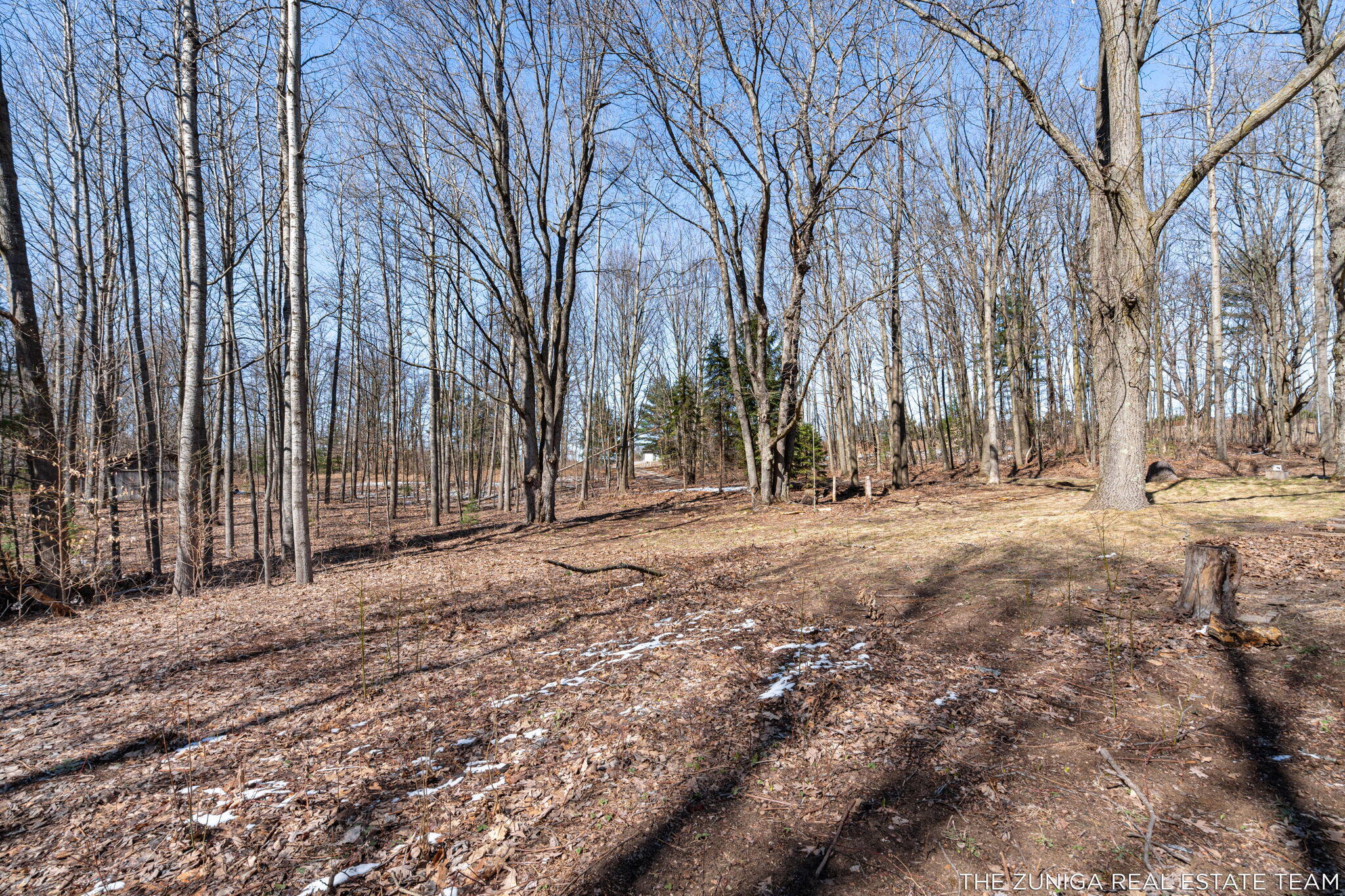 2065 W Cleveland Road