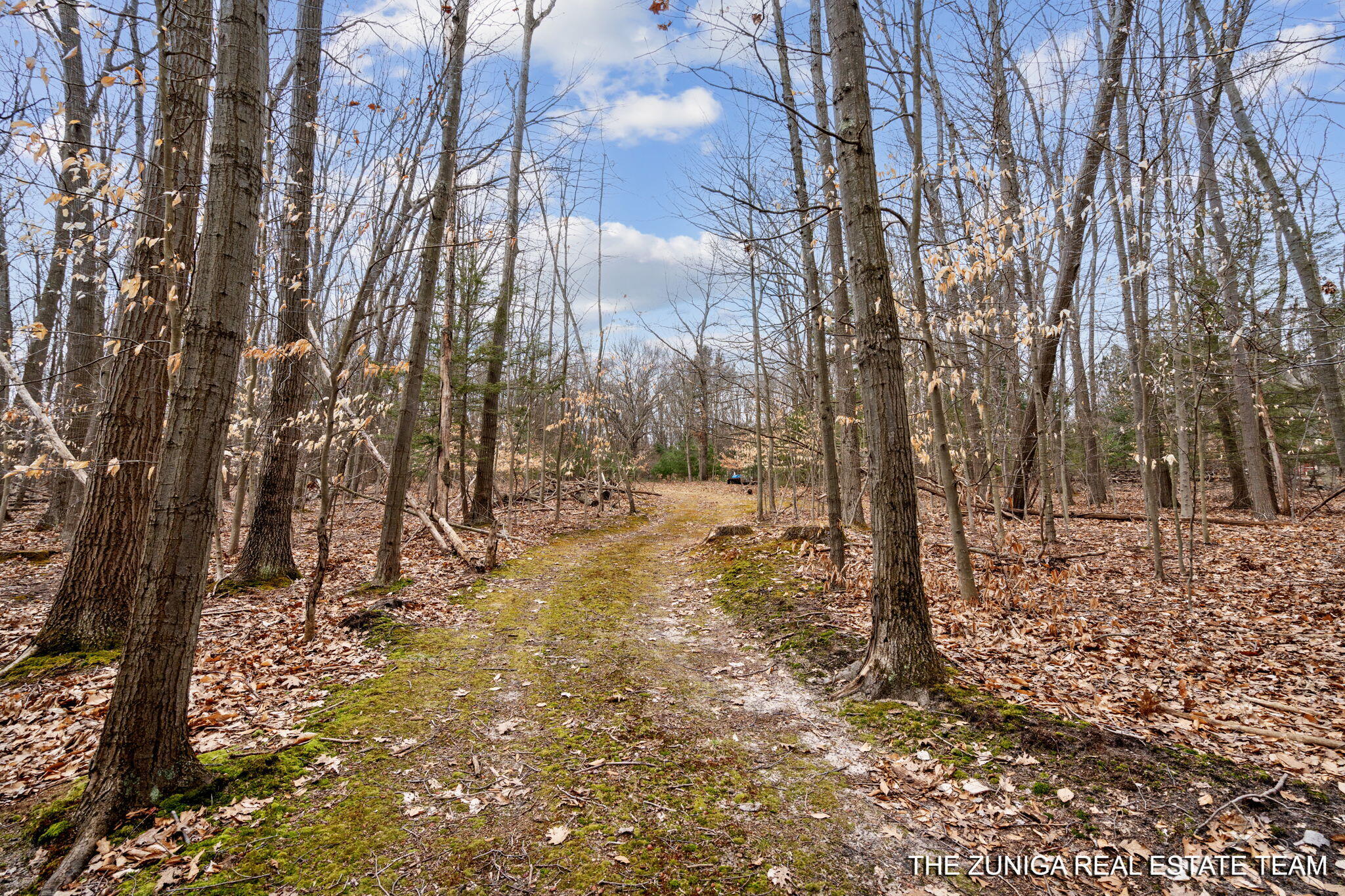 Parcel A Nestrom Road