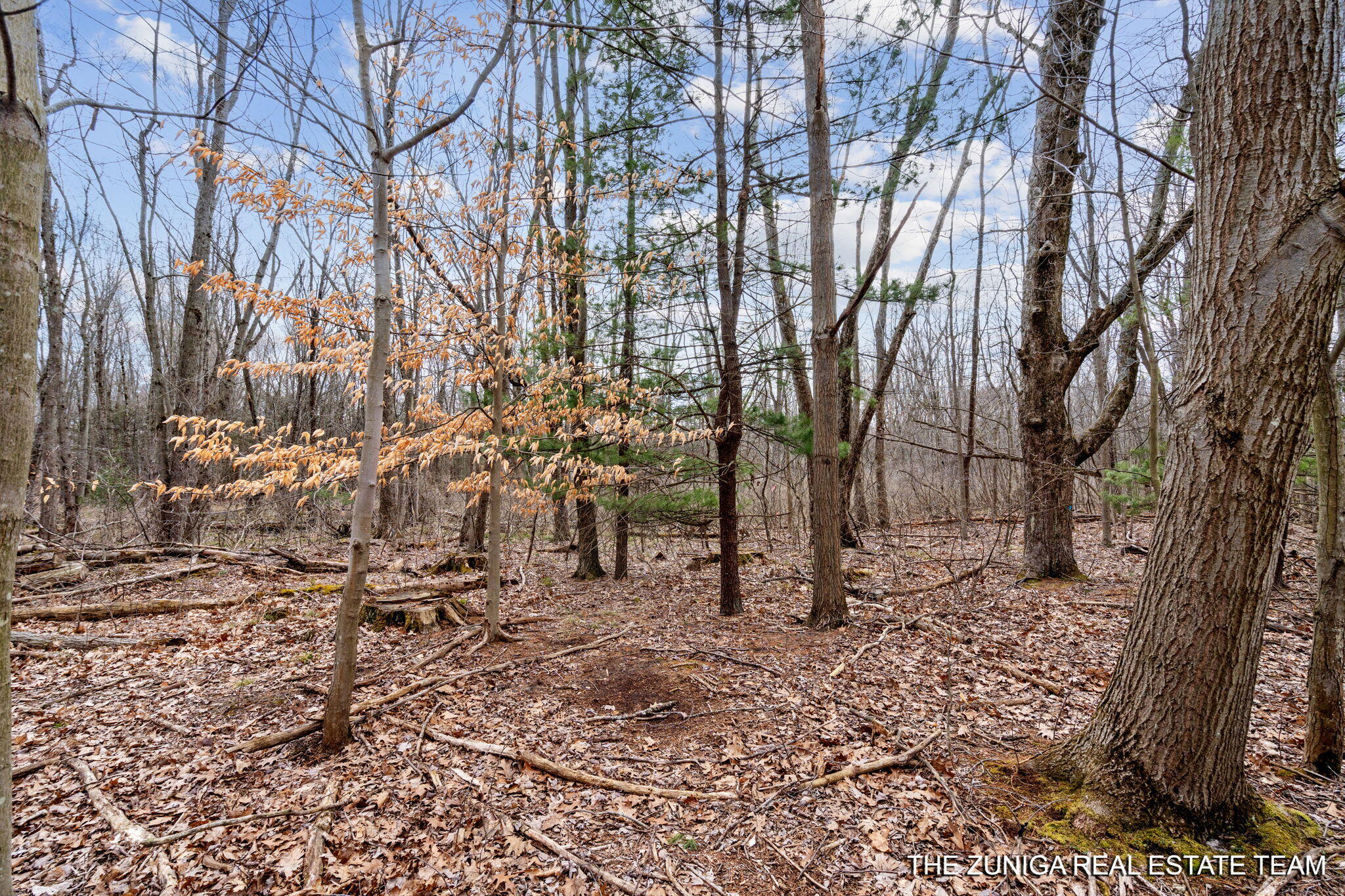 Parcel A Nestrom Road