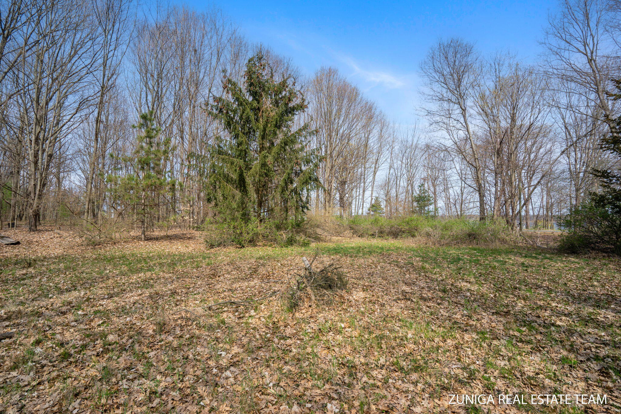 Lot 12 South Shore Drive