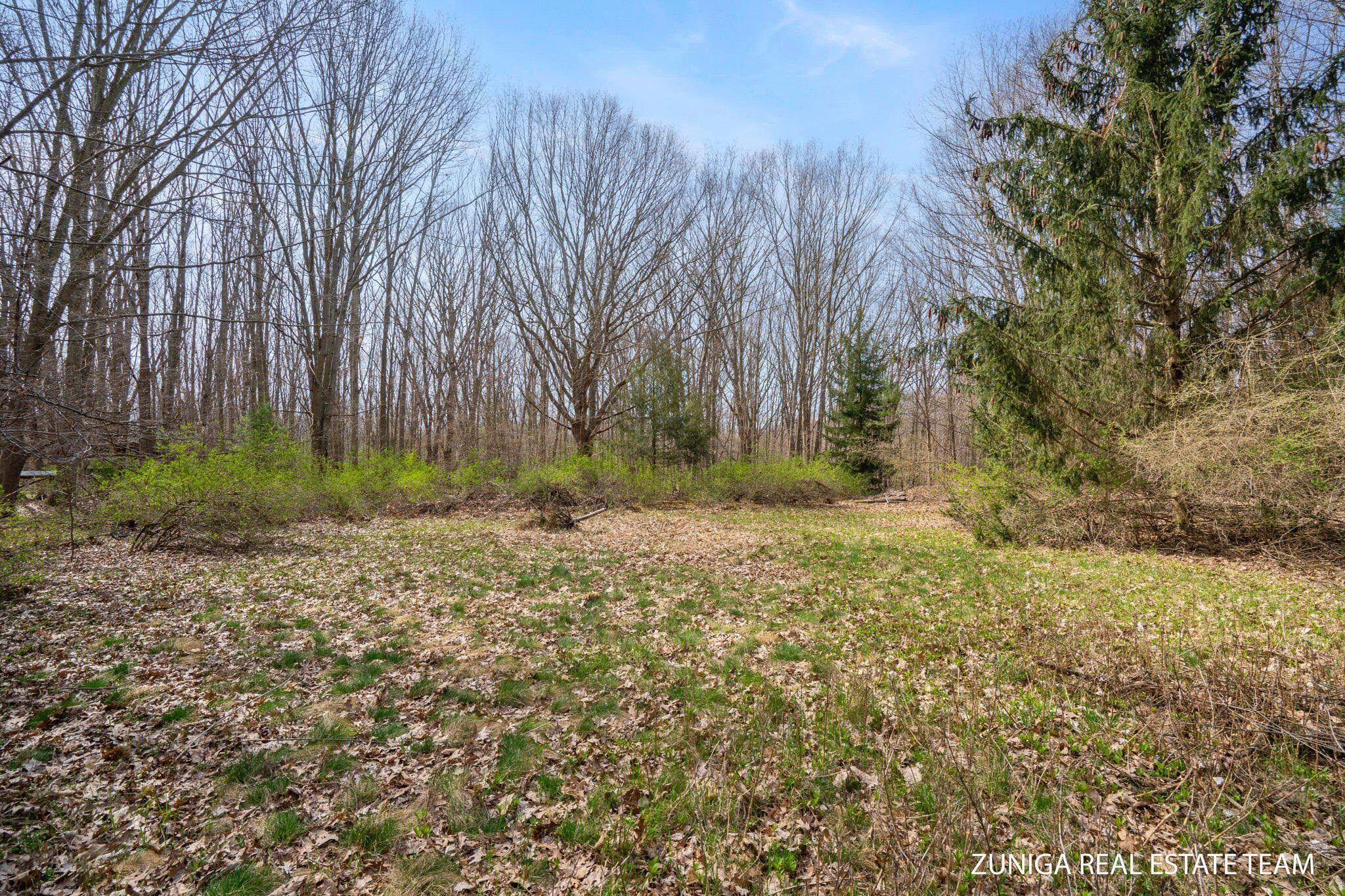 Lot 12 South Shore Drive