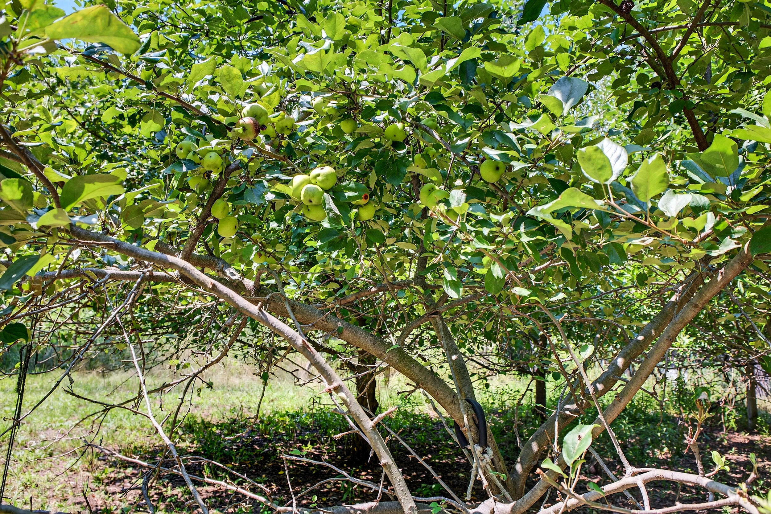 3933 S Centerline Road