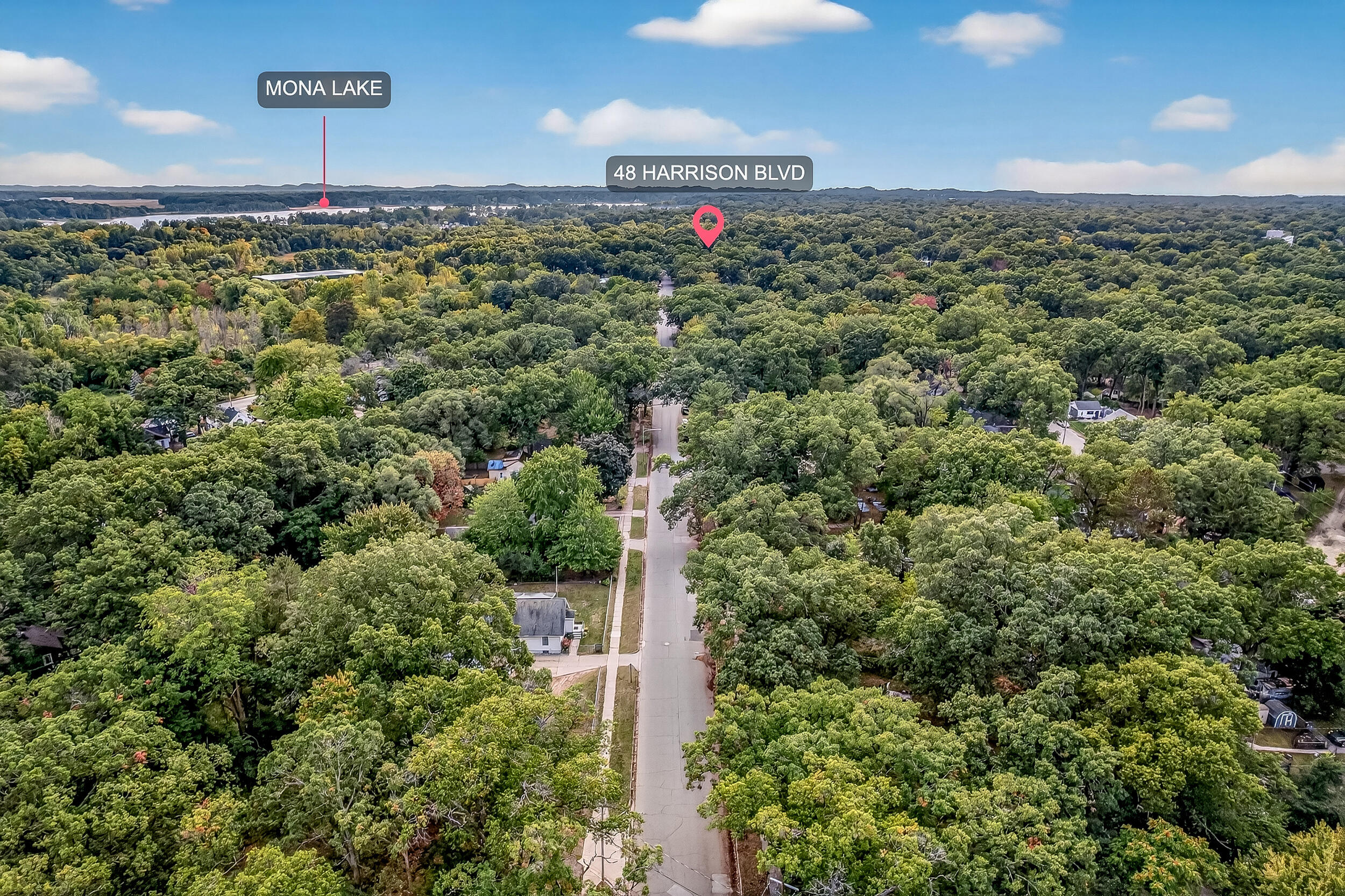 48 Harrison Boulevard
