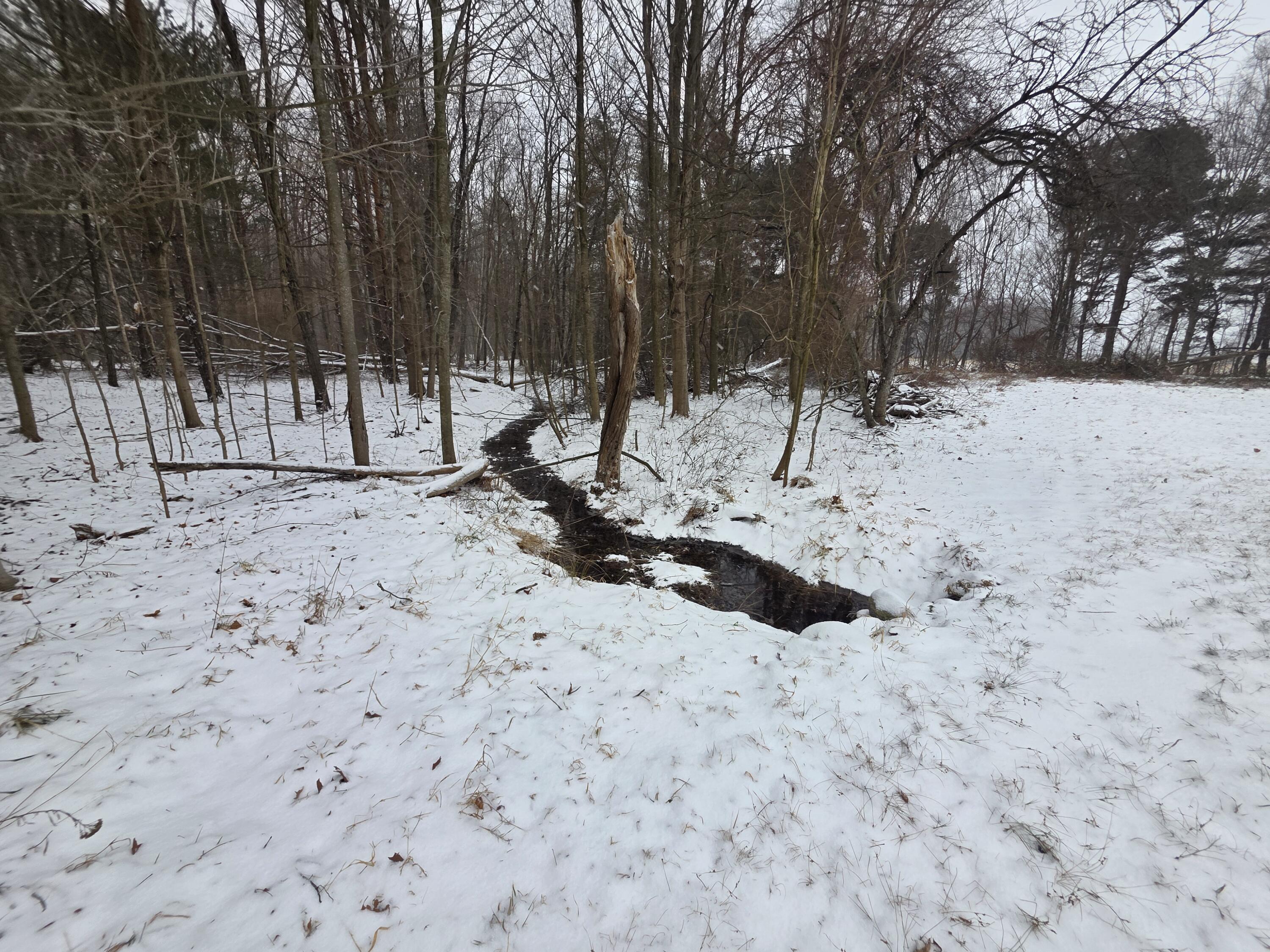 VL 11.1A W Webster Road