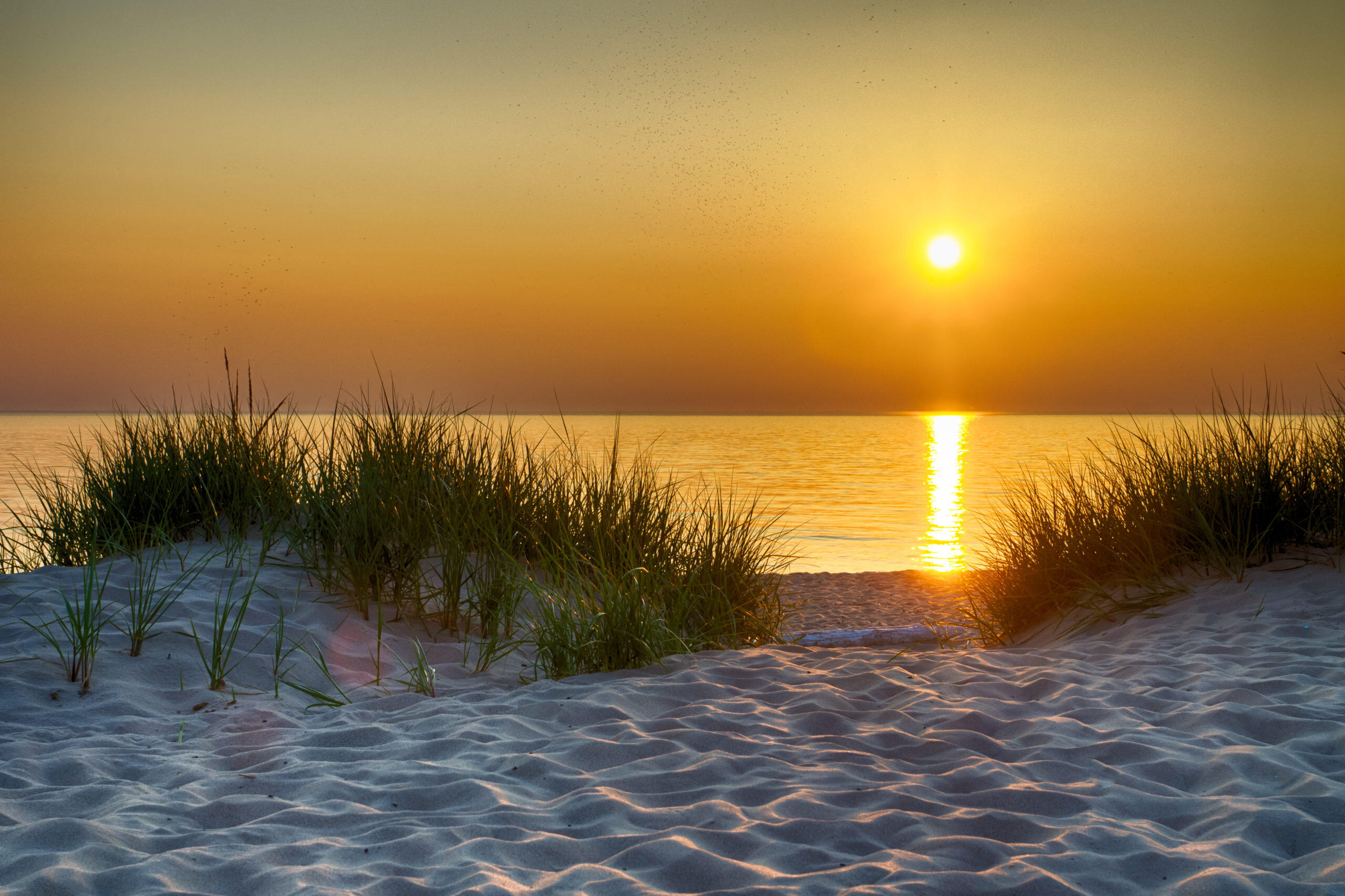 7107 West Webster Road