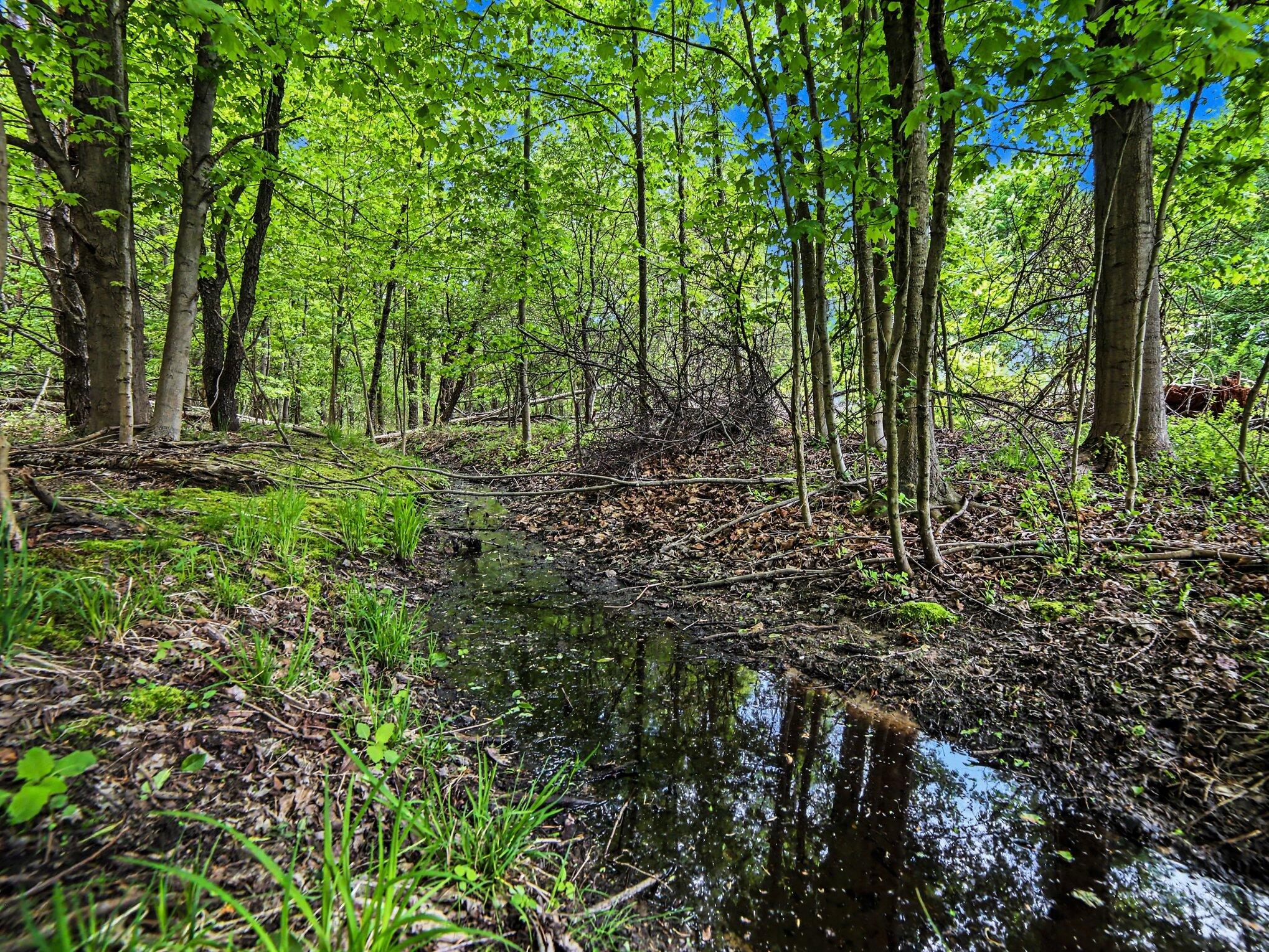 7107 West Webster Road