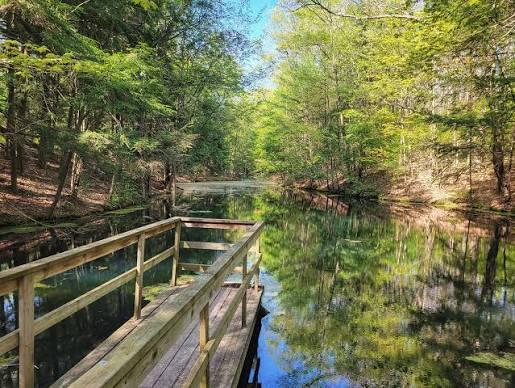 7107 West Webster Road