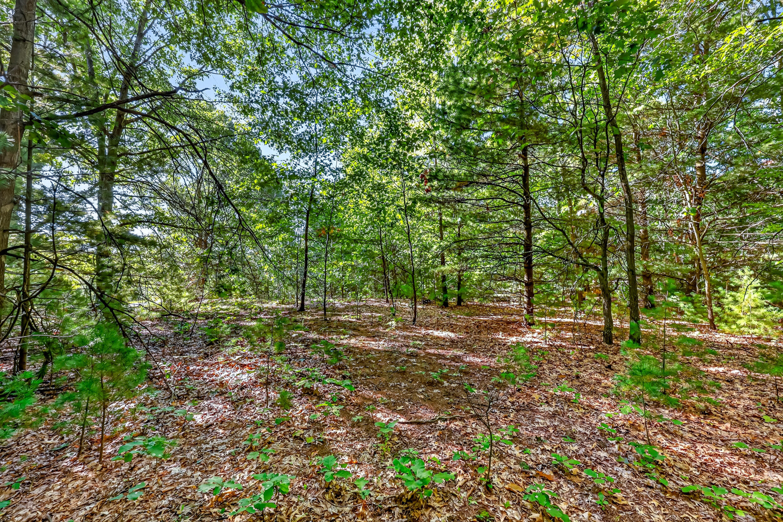 Parcel A 20 Acres S 132nd Avenue