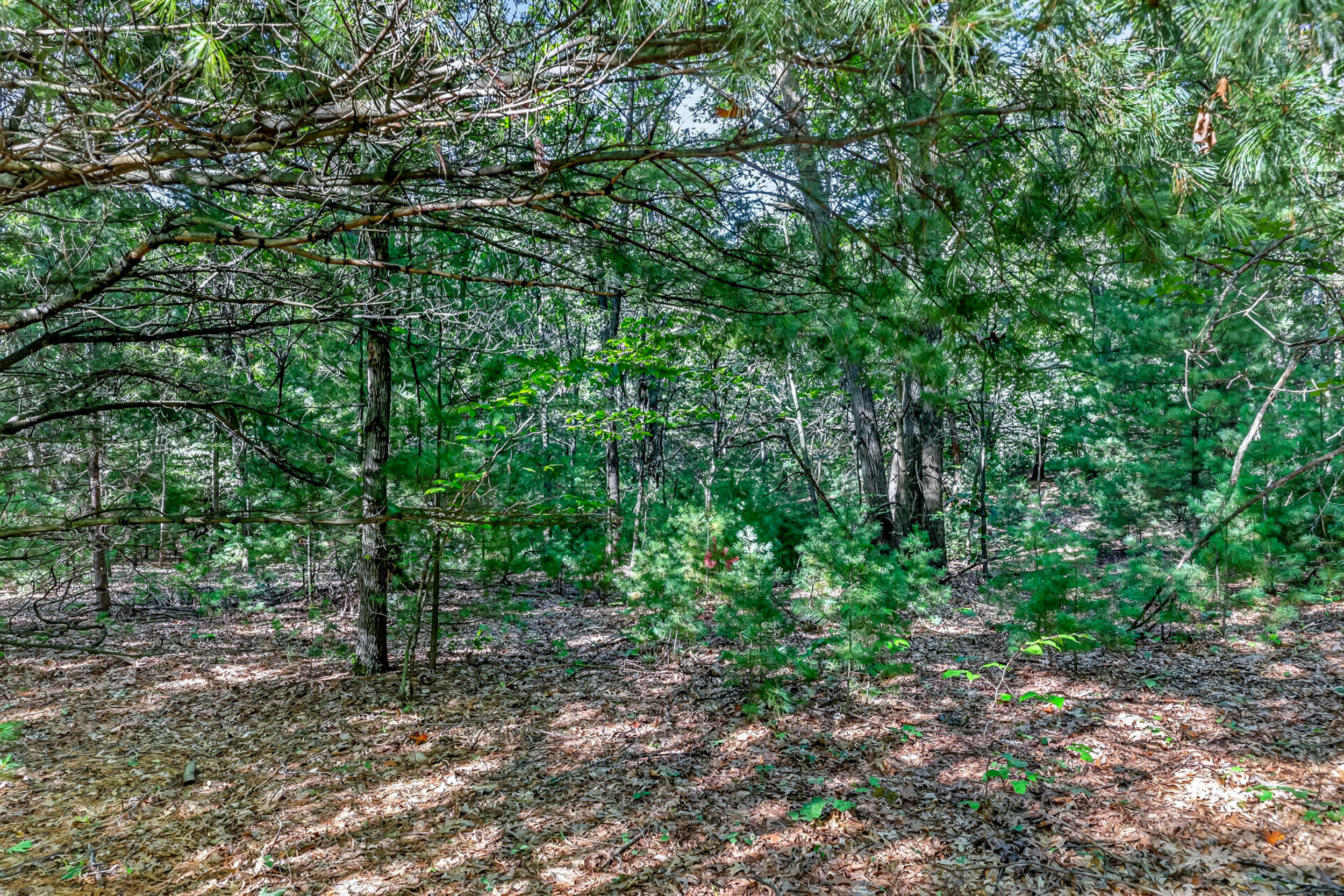 Parcel A 20 Acres S 132nd Avenue