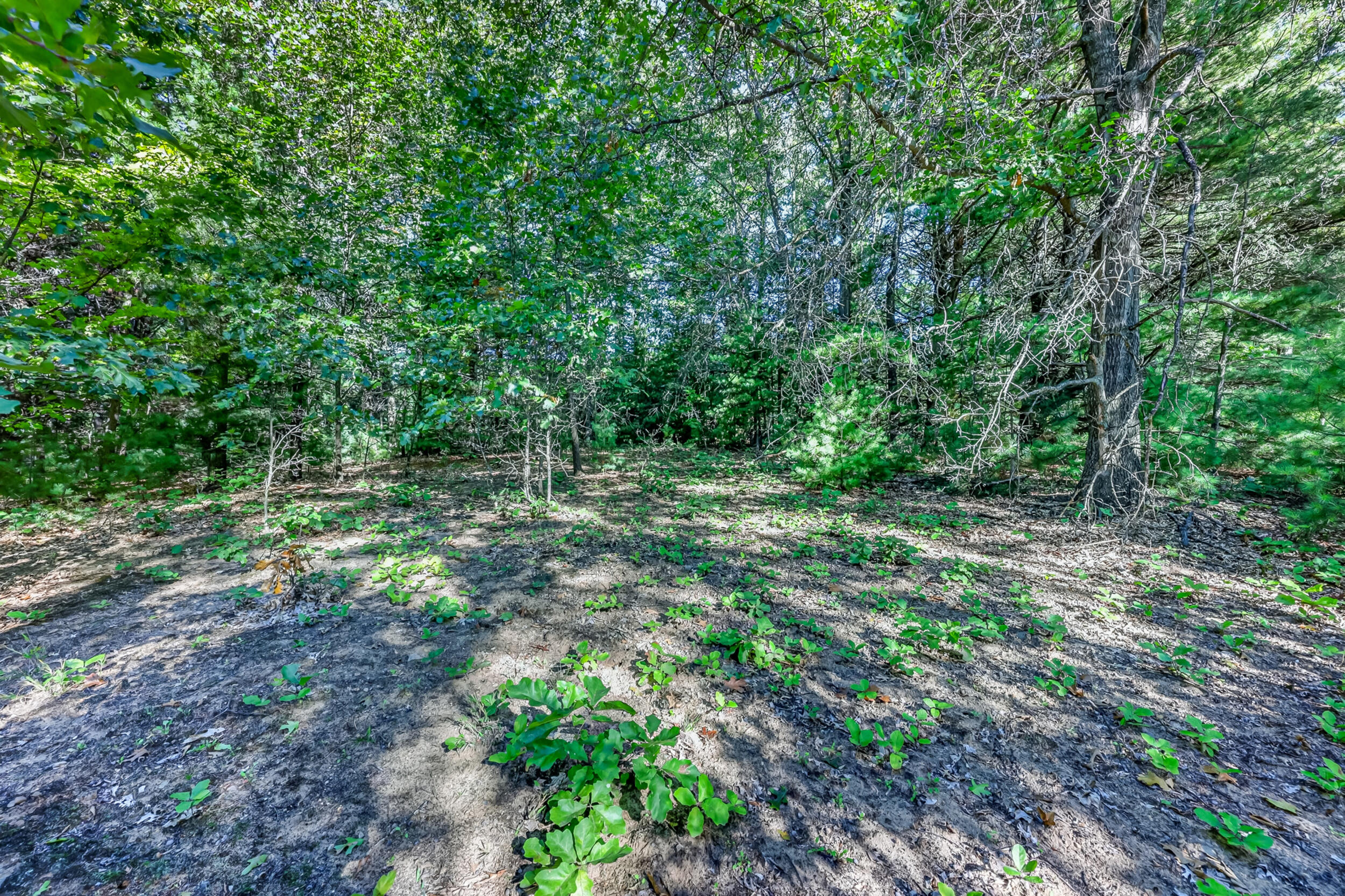 Parcel A 20 Acres S 132nd Avenue