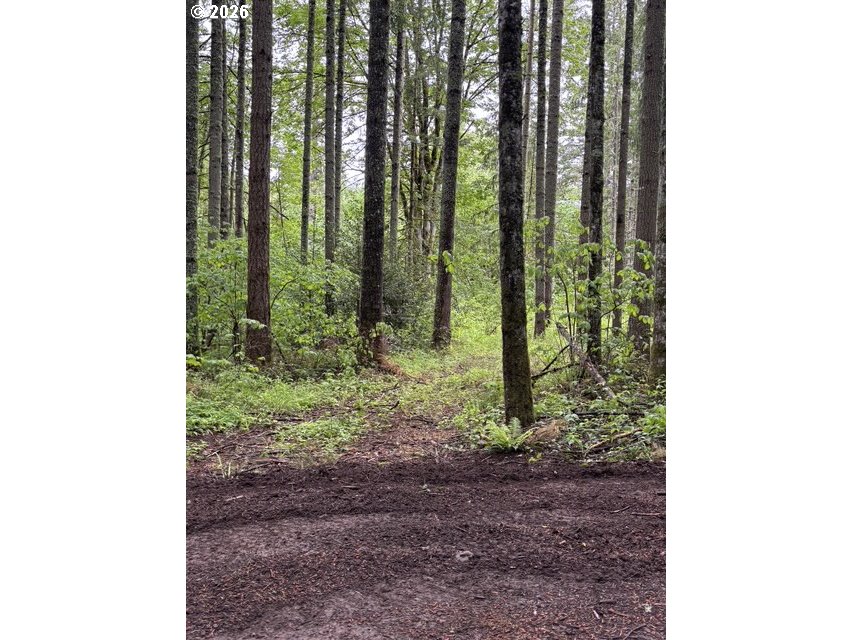 33318 SE FUNNY FARM RD