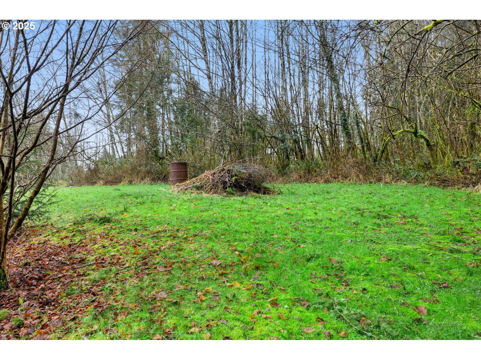 18940 BLANCHARD RD, Cloverdale
