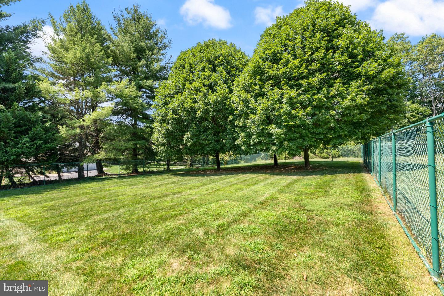 12517 Ivy Mill Rd