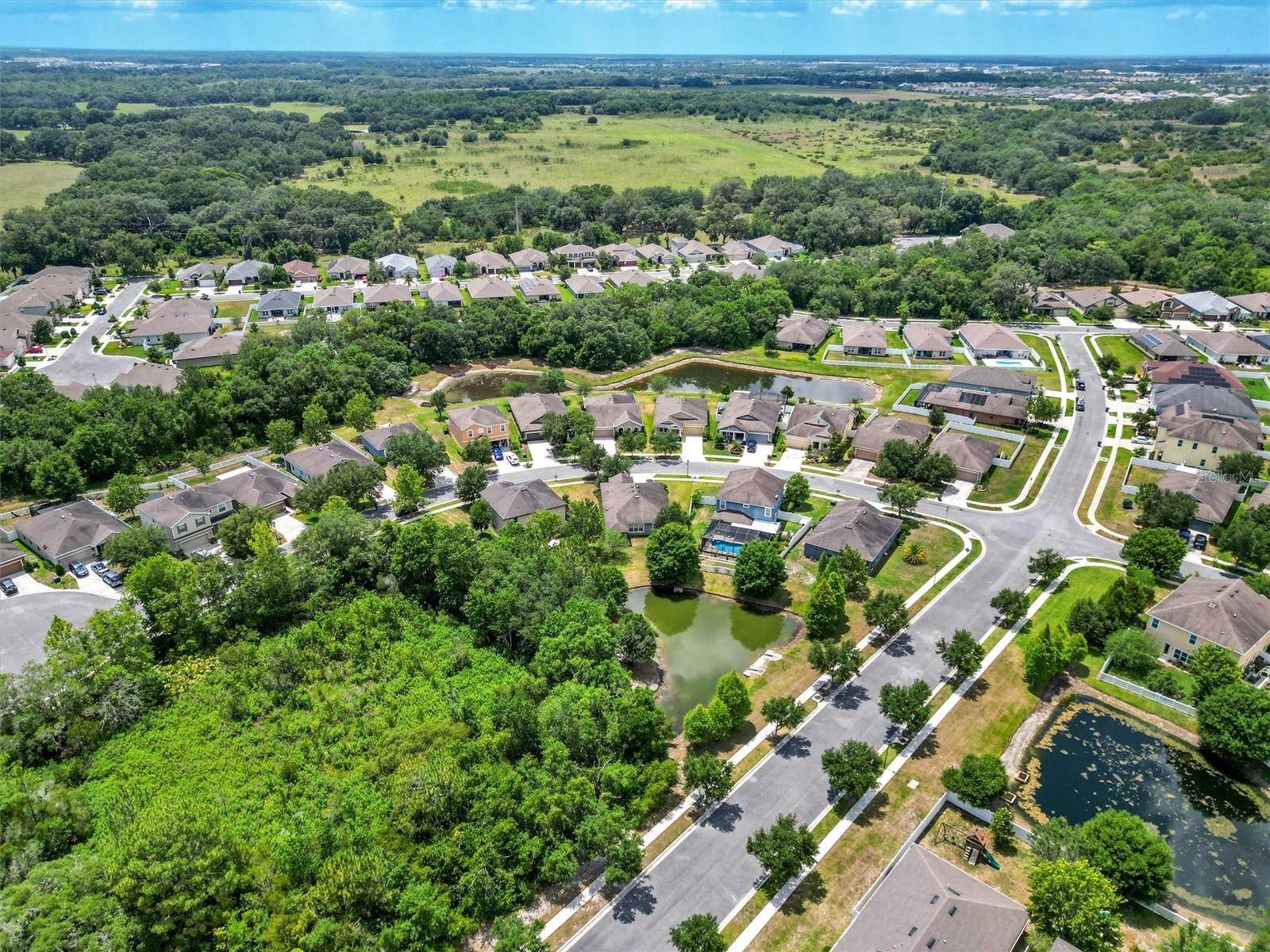 6247 HAWK GROVE CT
