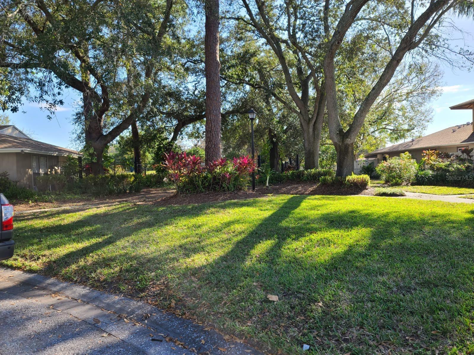 7319 BAJA CT