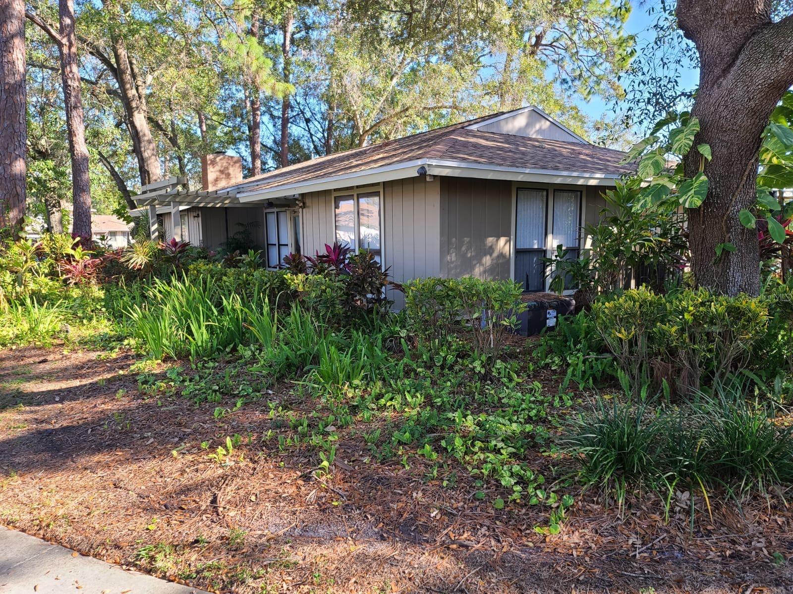 7319 BAJA CT