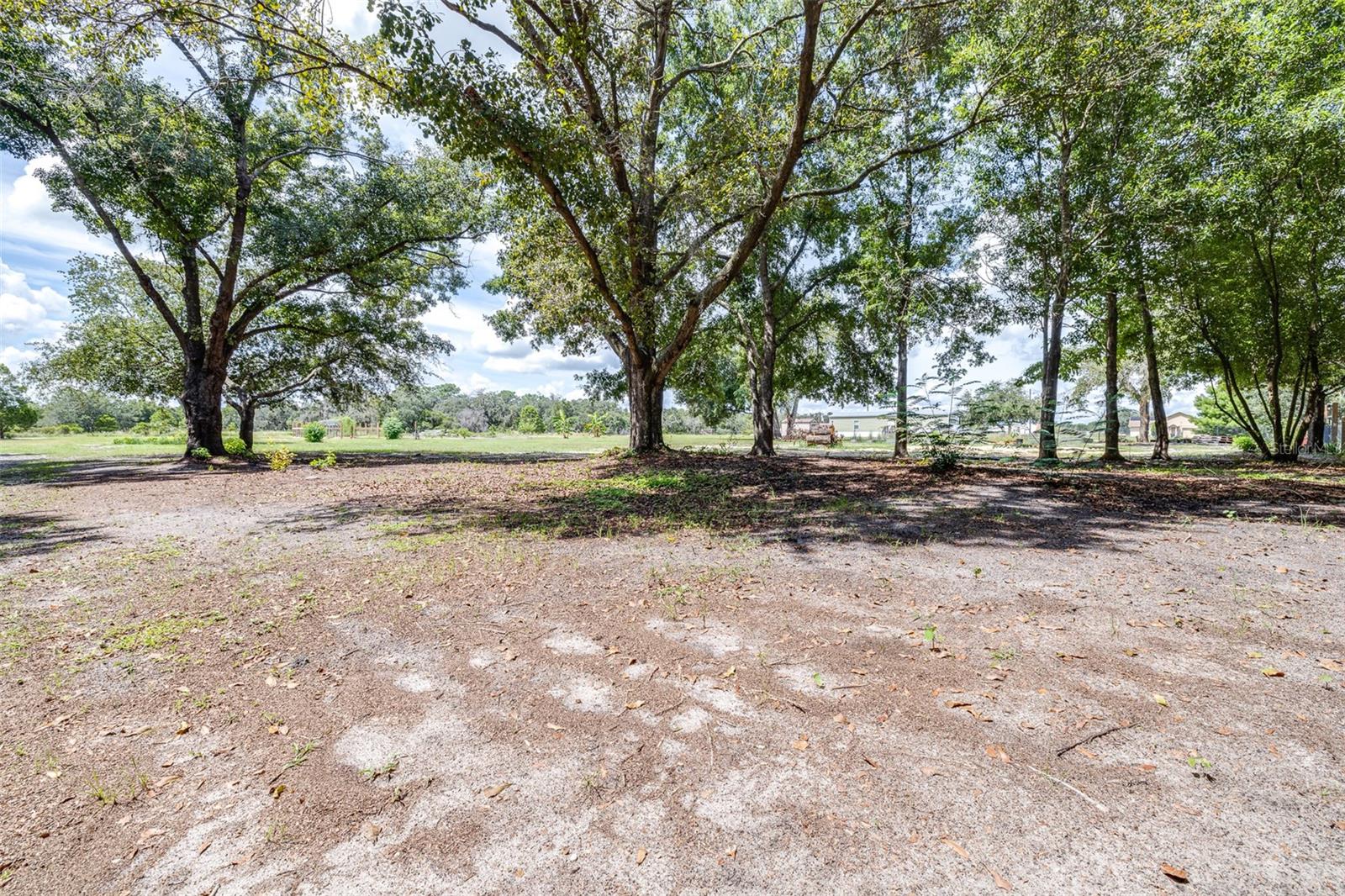 1223 PASTEUR RD