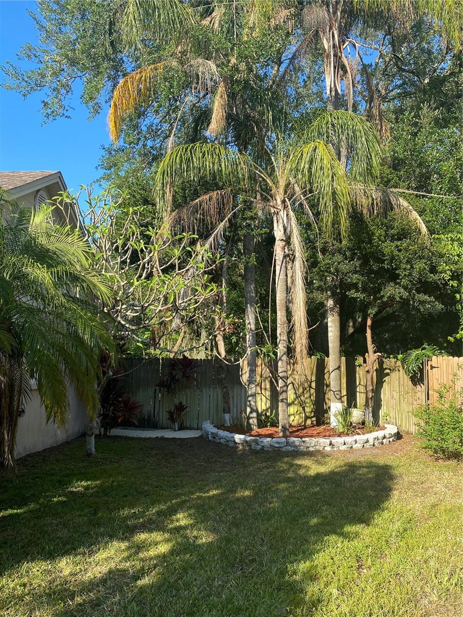 4504 CABBAGE PALM DR