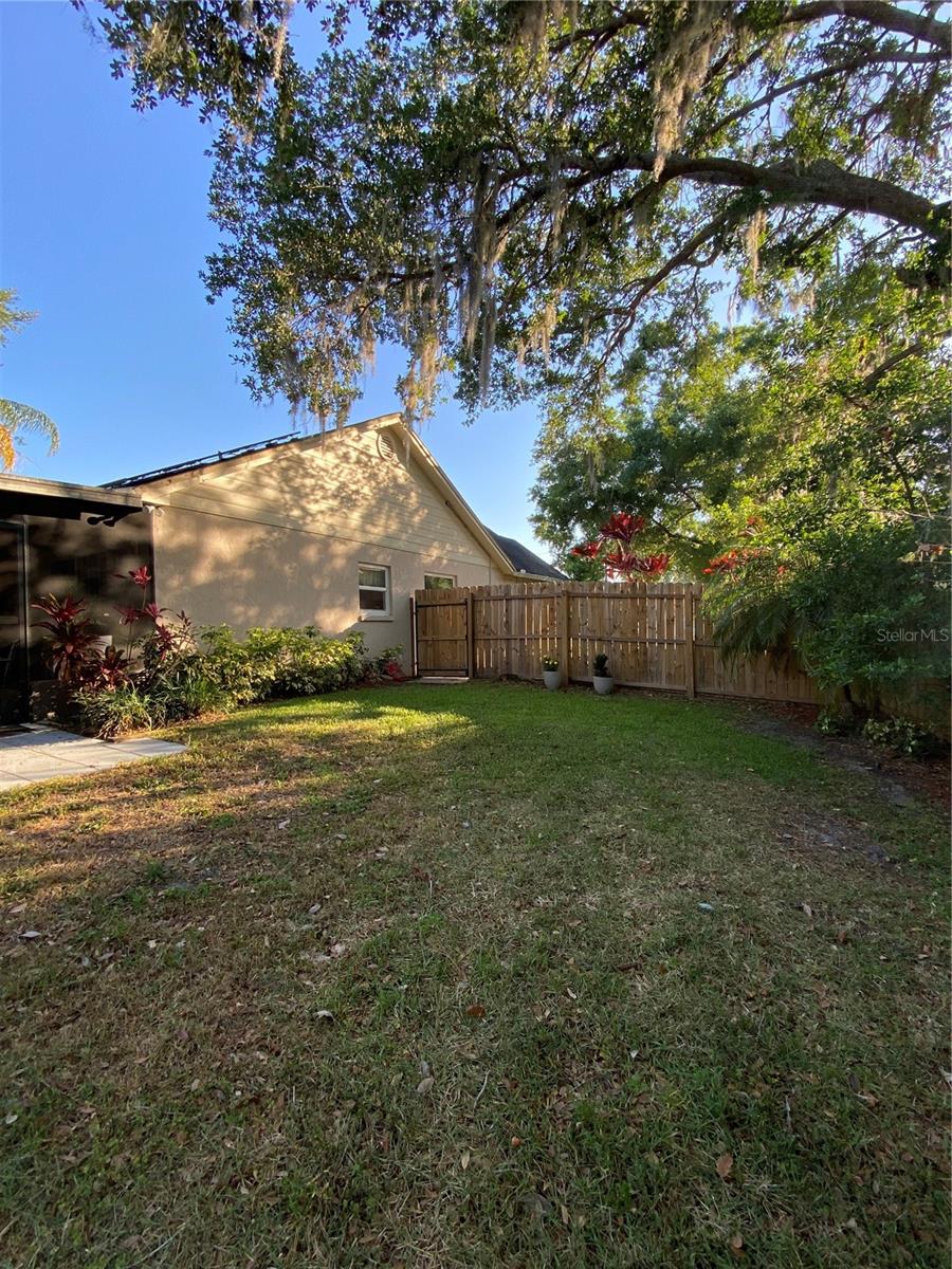4504 CABBAGE PALM DR