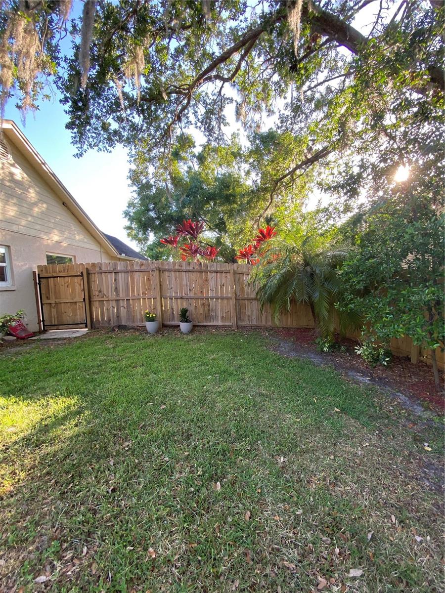 4504 CABBAGE PALM DR
