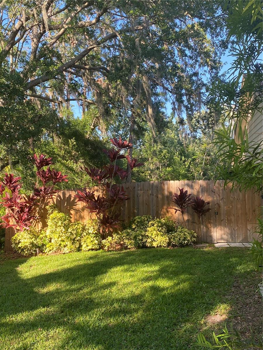 4504 CABBAGE PALM DR