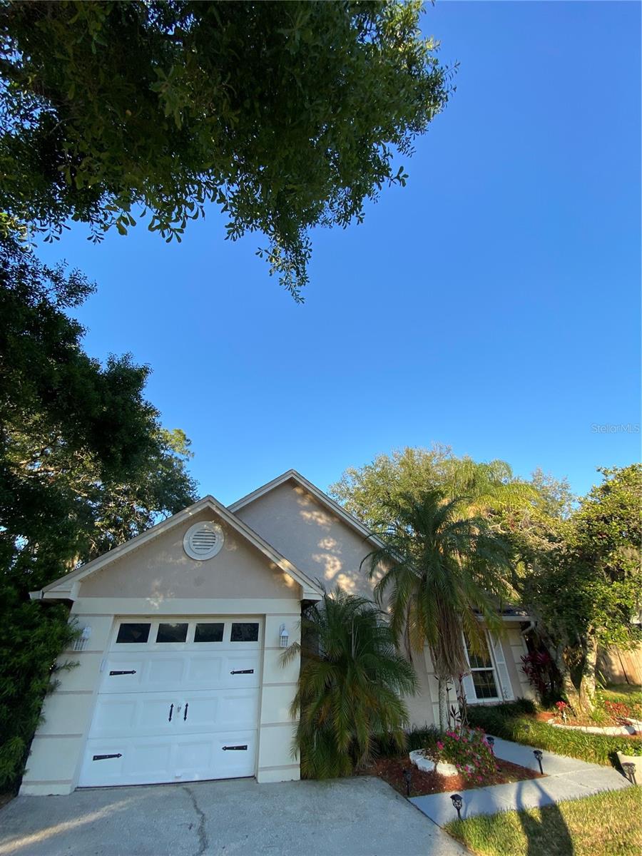 4504 CABBAGE PALM DR