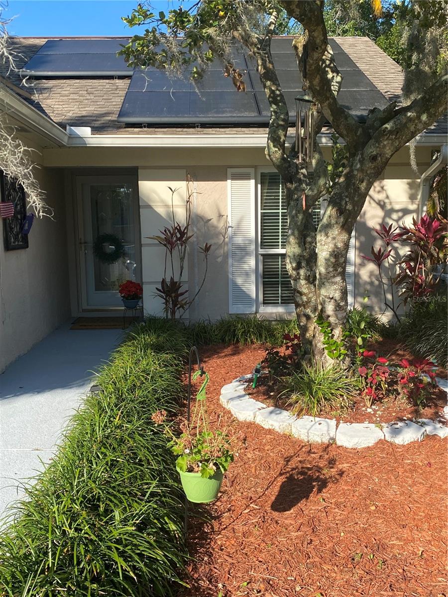 4504 CABBAGE PALM DR