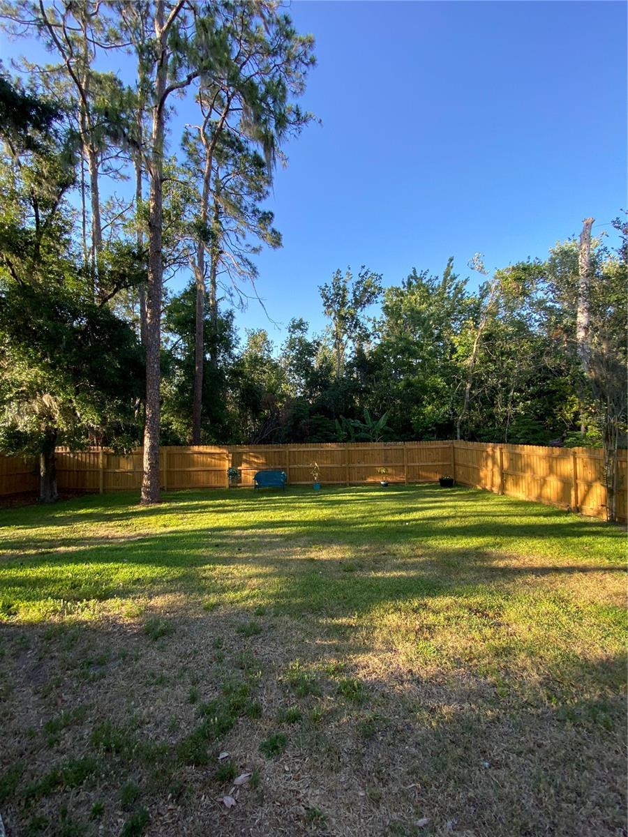4504 CABBAGE PALM DR