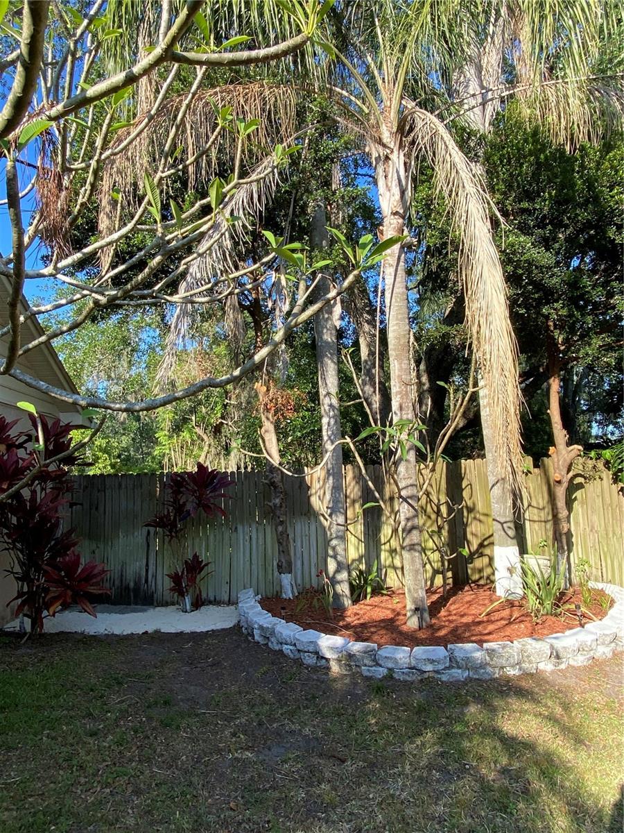 4504 CABBAGE PALM DR