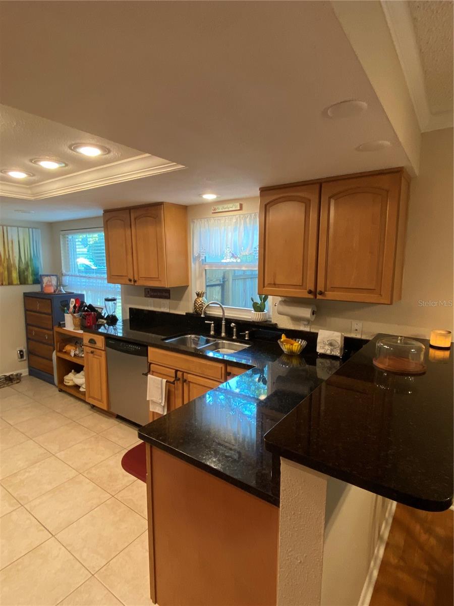 4504 CABBAGE PALM DR
