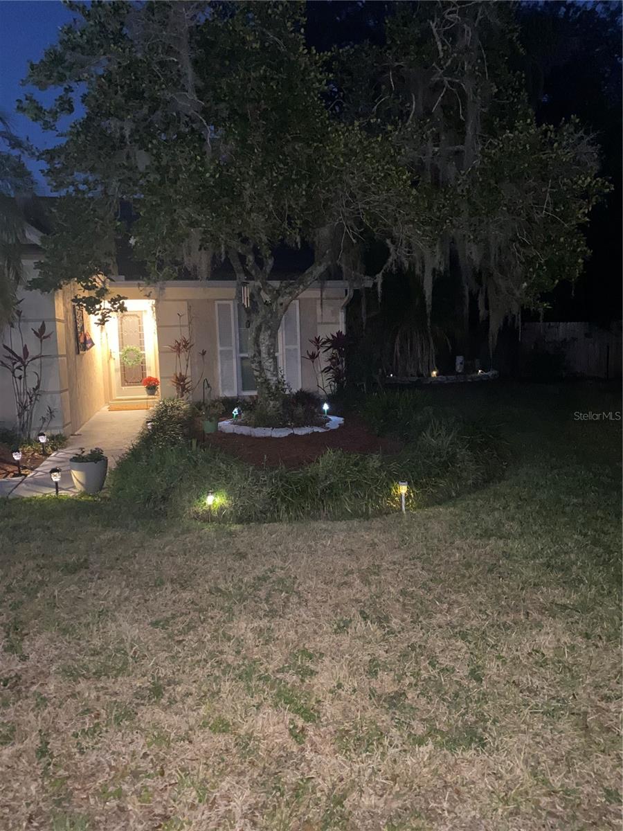 4504 CABBAGE PALM DR