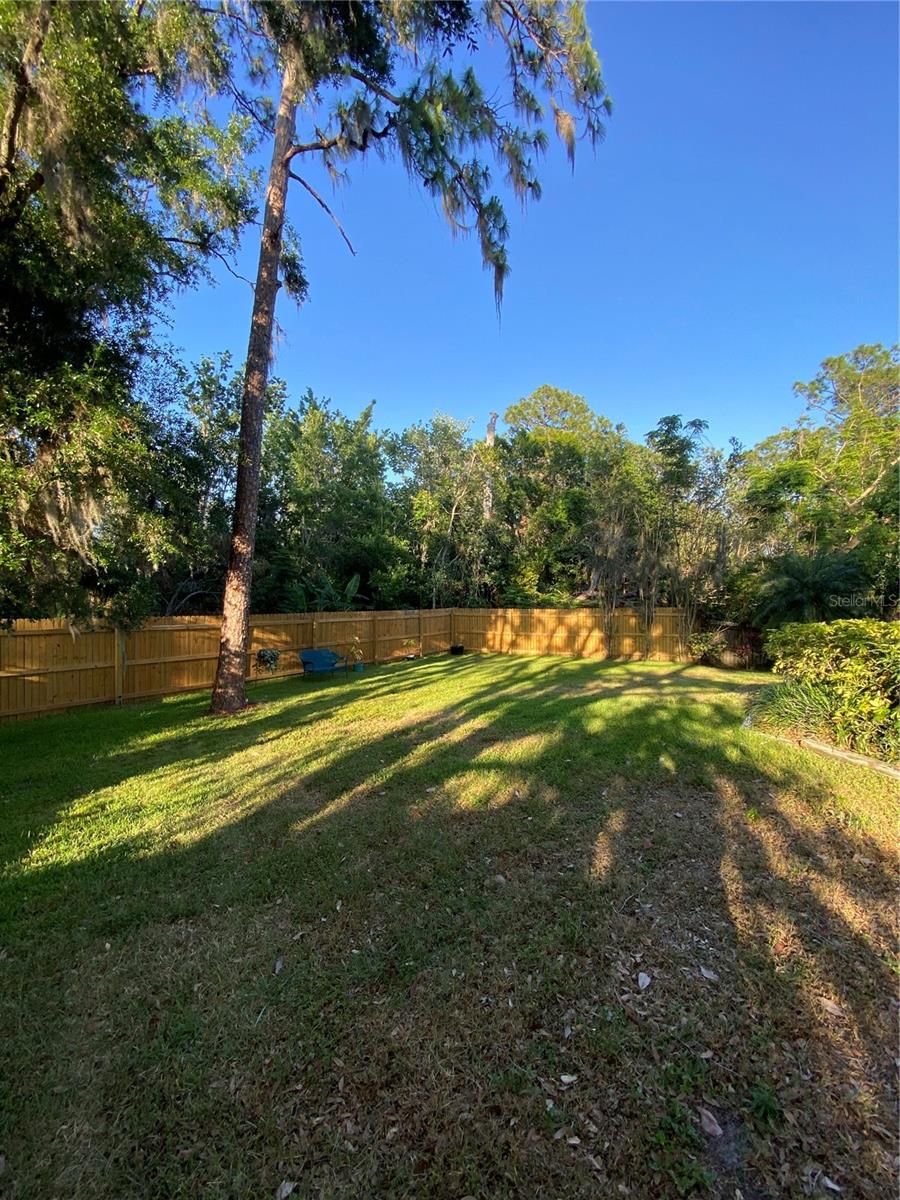 4504 CABBAGE PALM DR