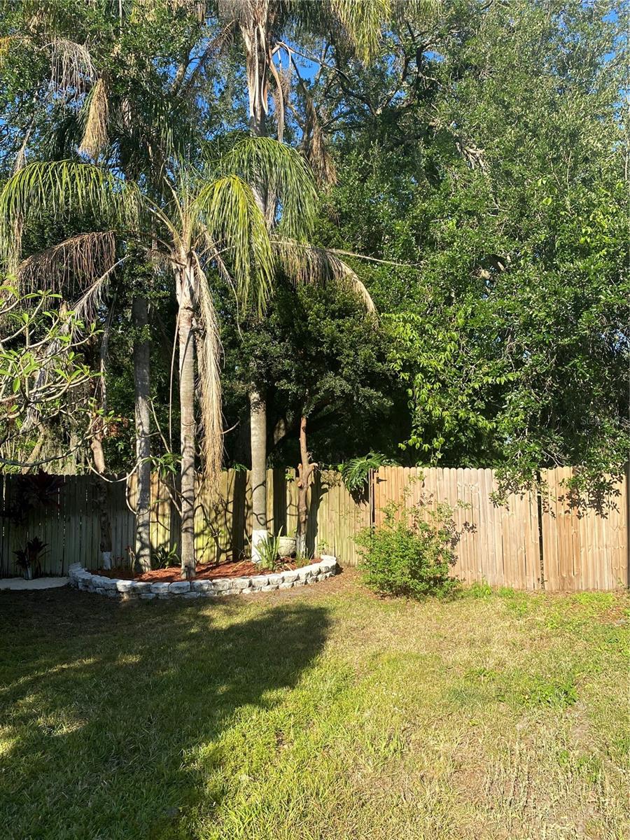 4504 CABBAGE PALM DR