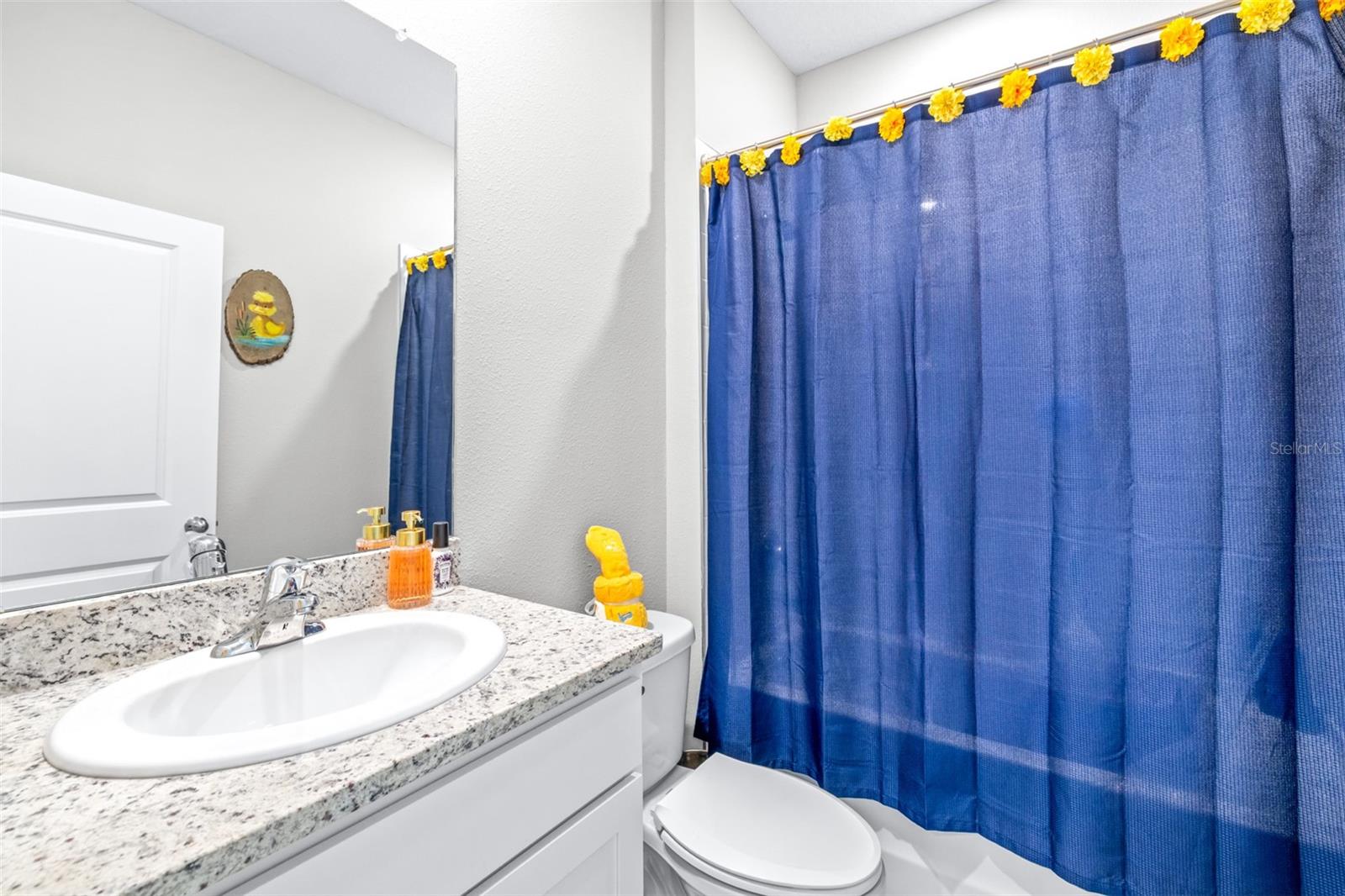 3847 SUNNY SPRING ST