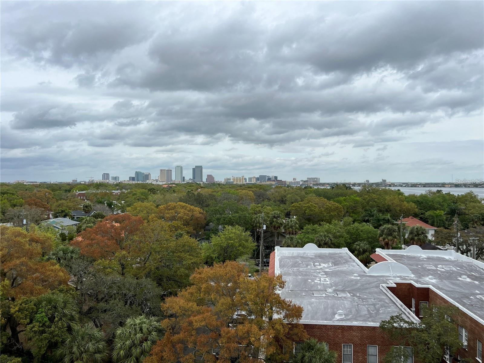 2109 BAYSHORE BLVD #707