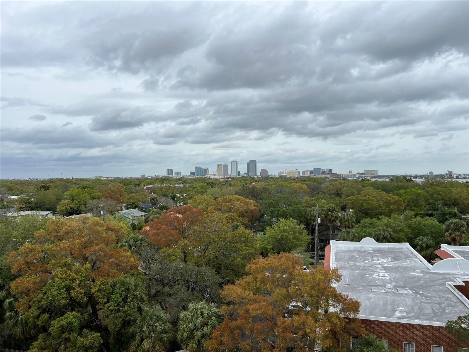 2109 BAYSHORE BLVD #707