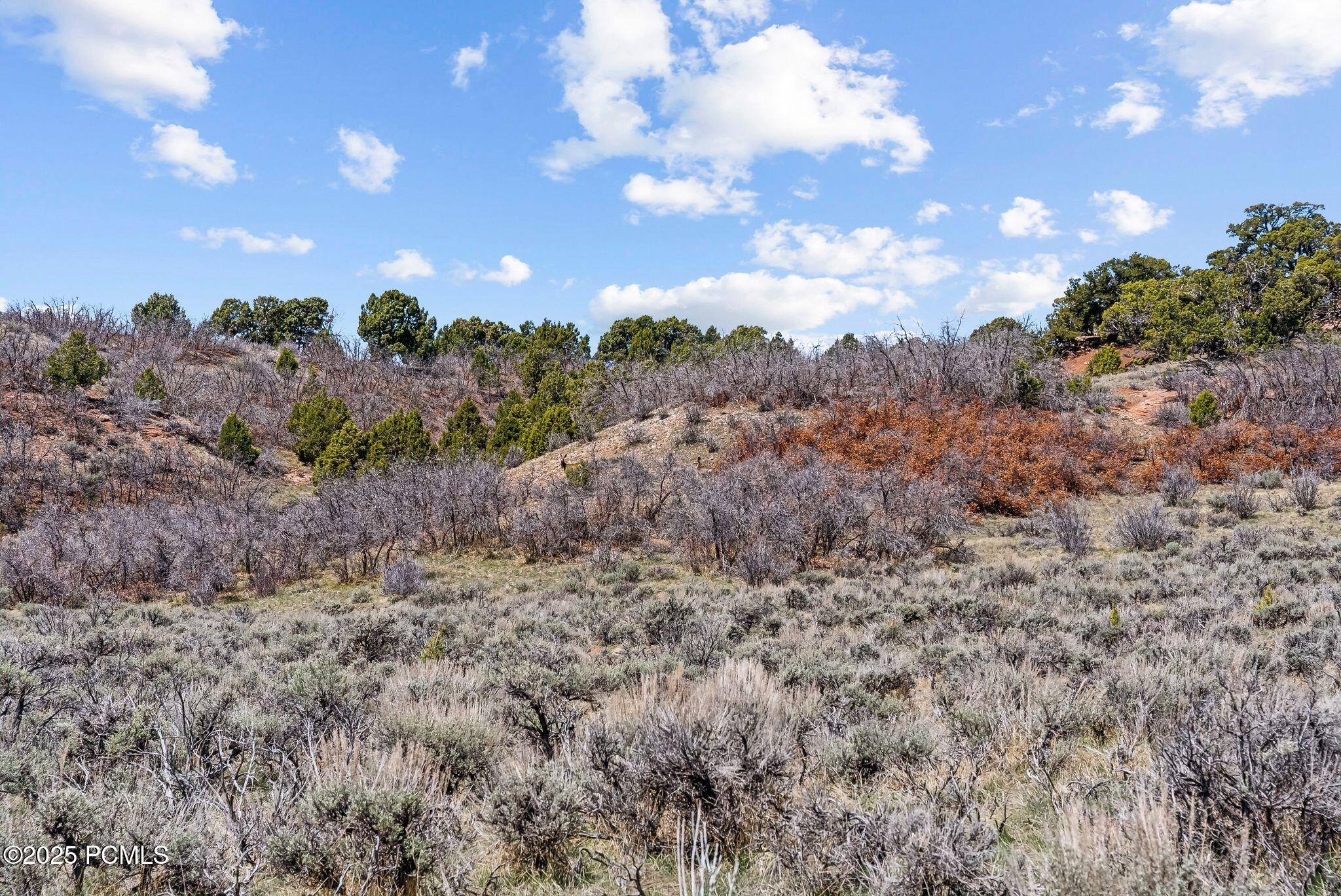 46997 W Thunder Ridge Road