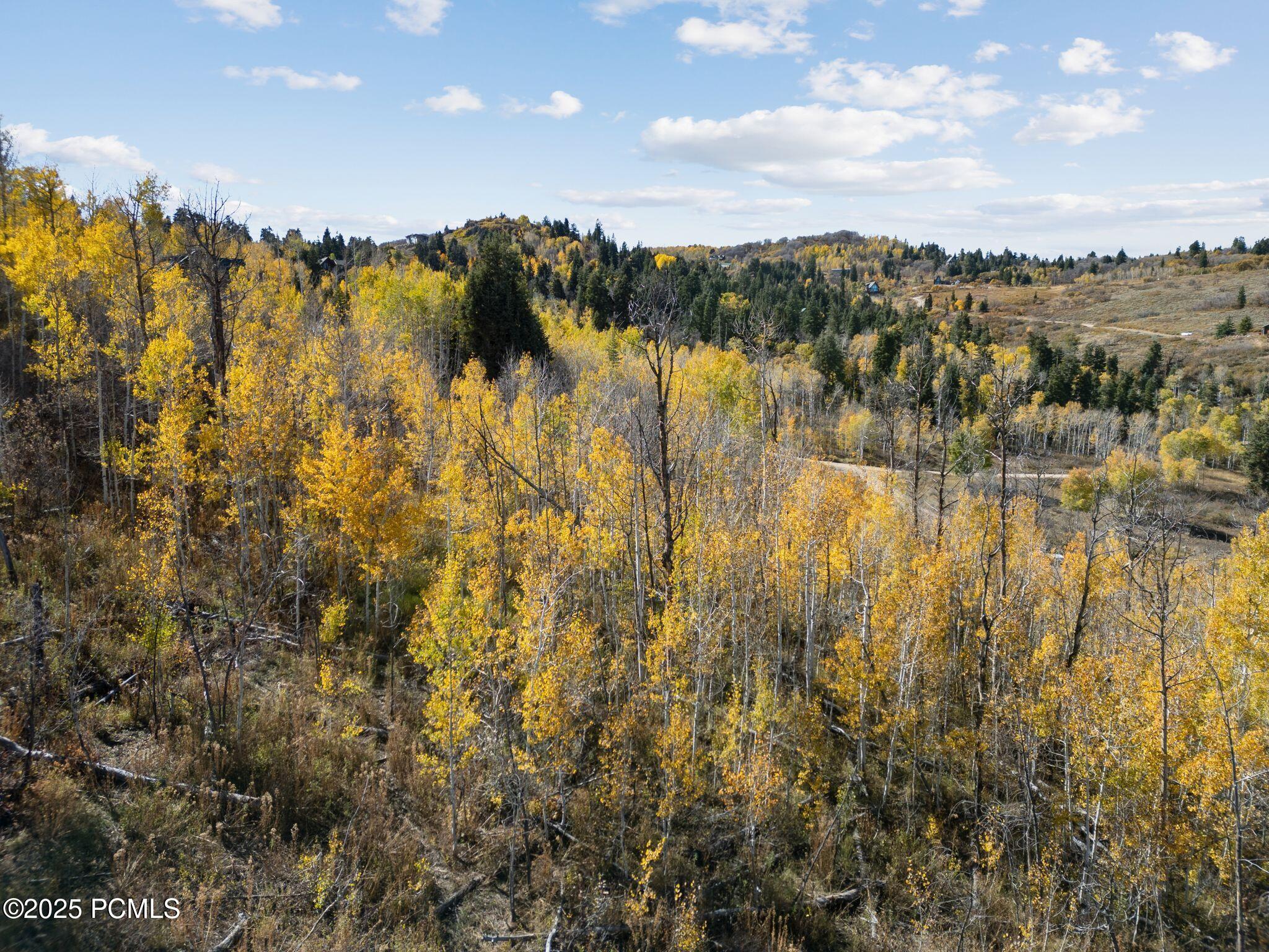 276 W Bear Tooth Ridge, 25