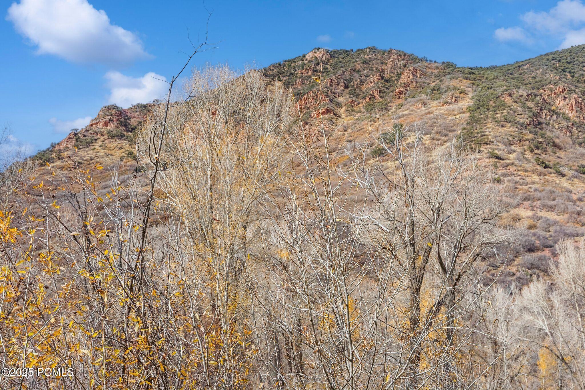 2638 E Weber Canyon Road, Oakley