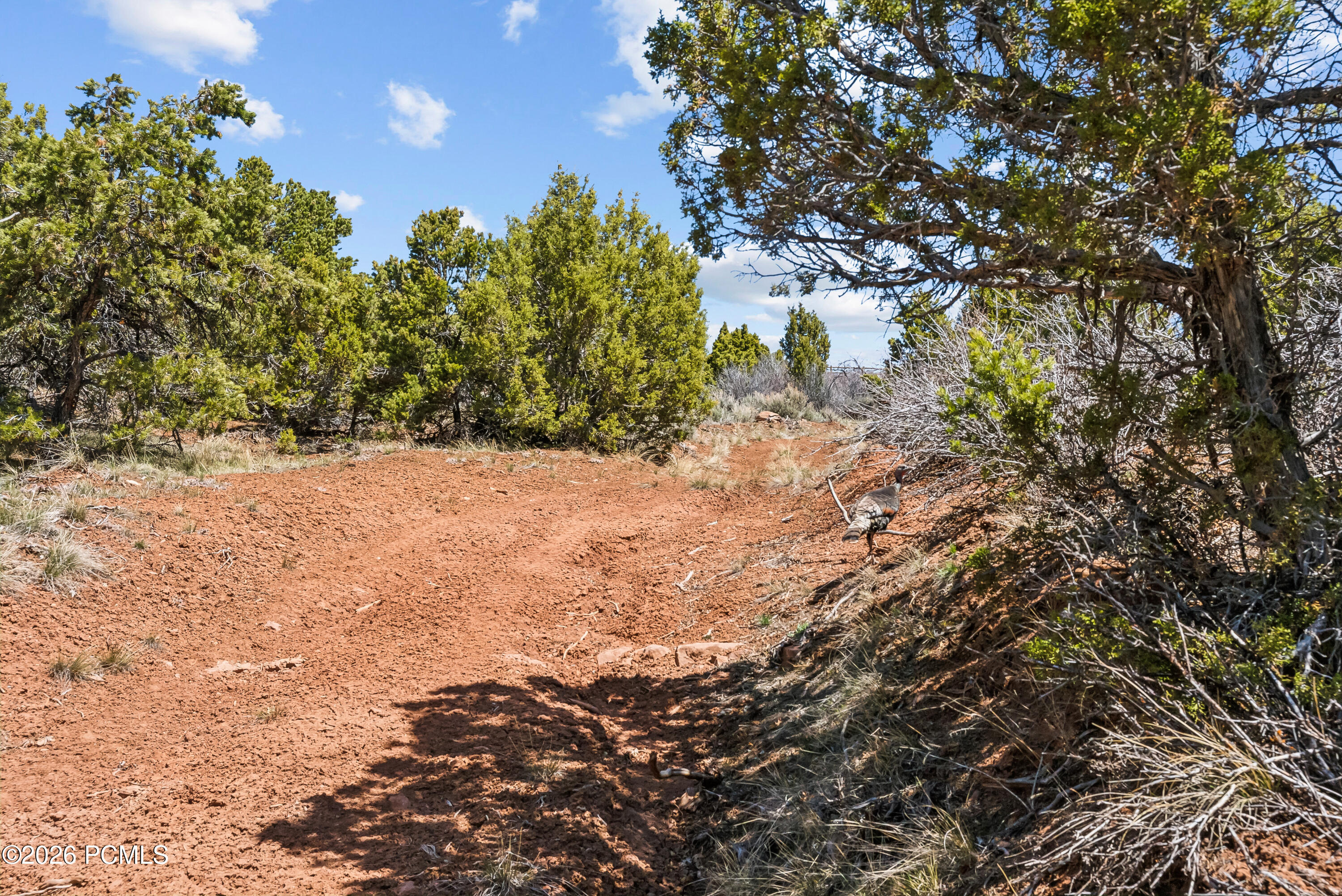 46997 W Thunder Ridge Road