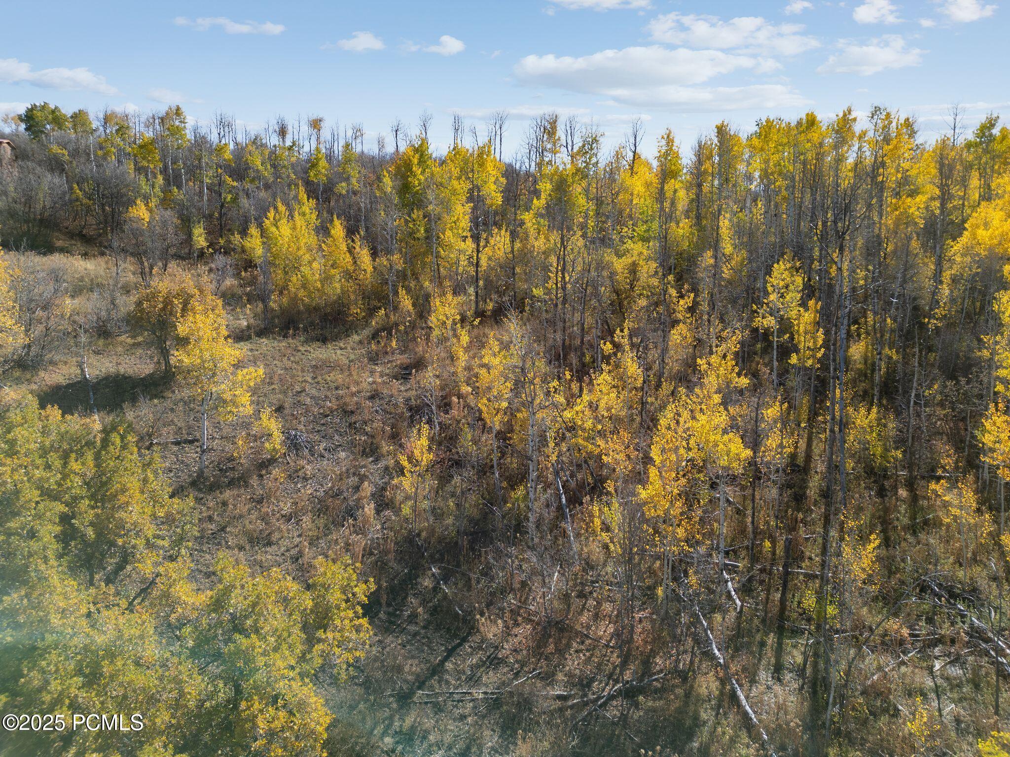 276 W Bear Tooth Ridge 25