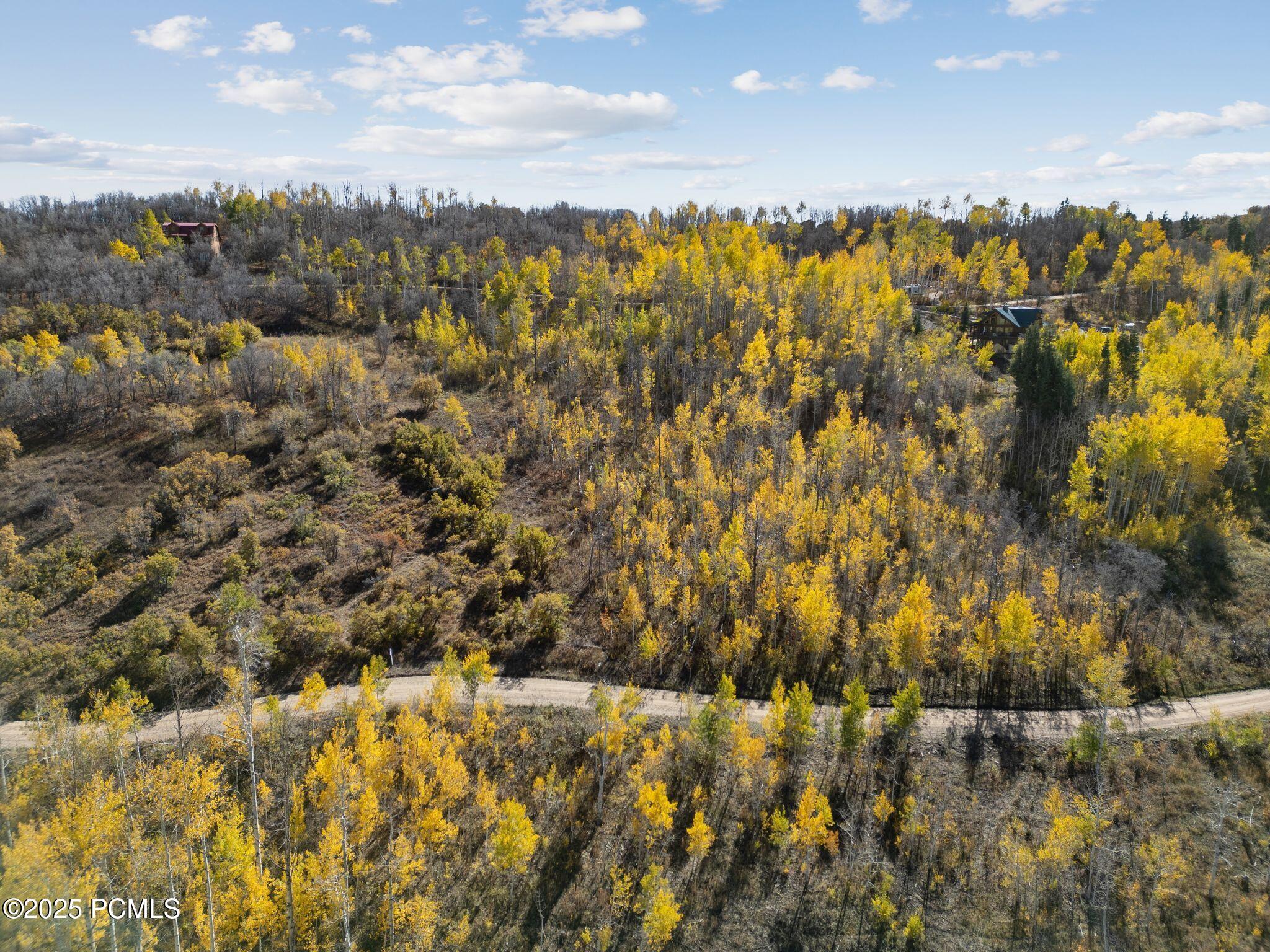 276 W Bear Tooth Ridge 25