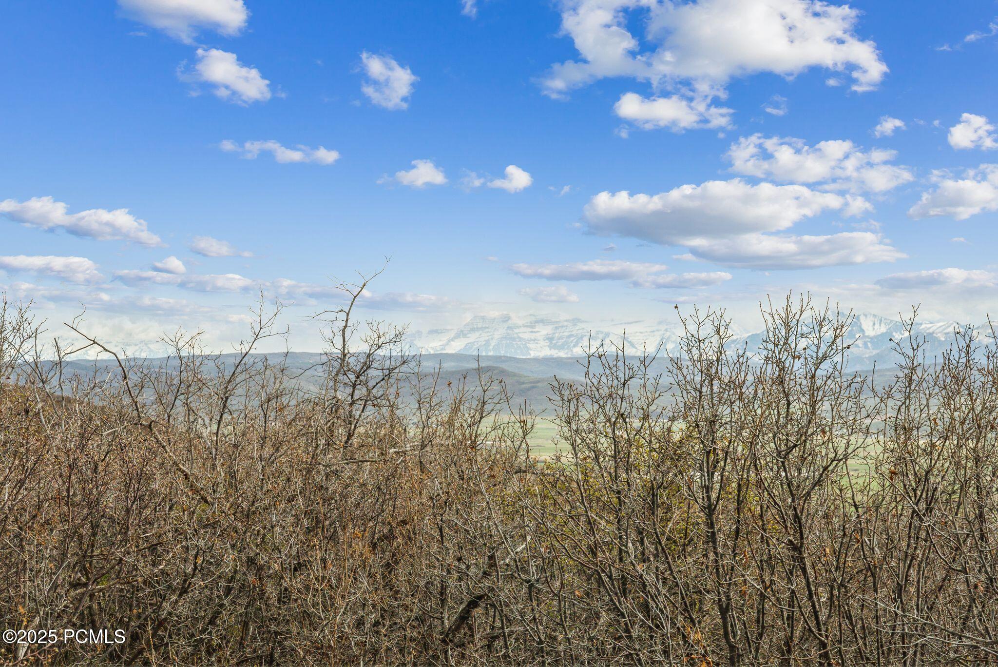 1081 Splendor Valley Road 56