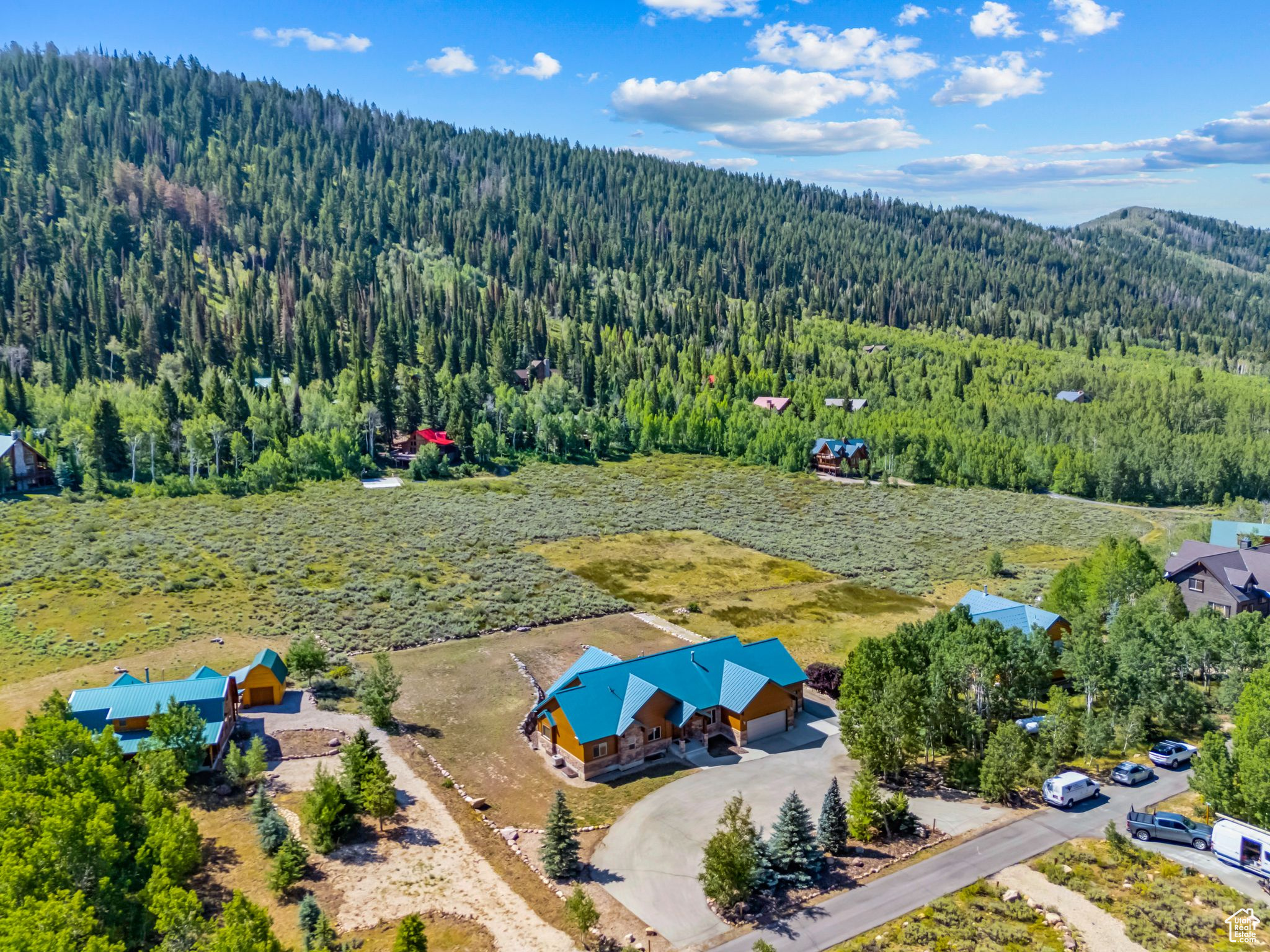 716 CONIFER DR