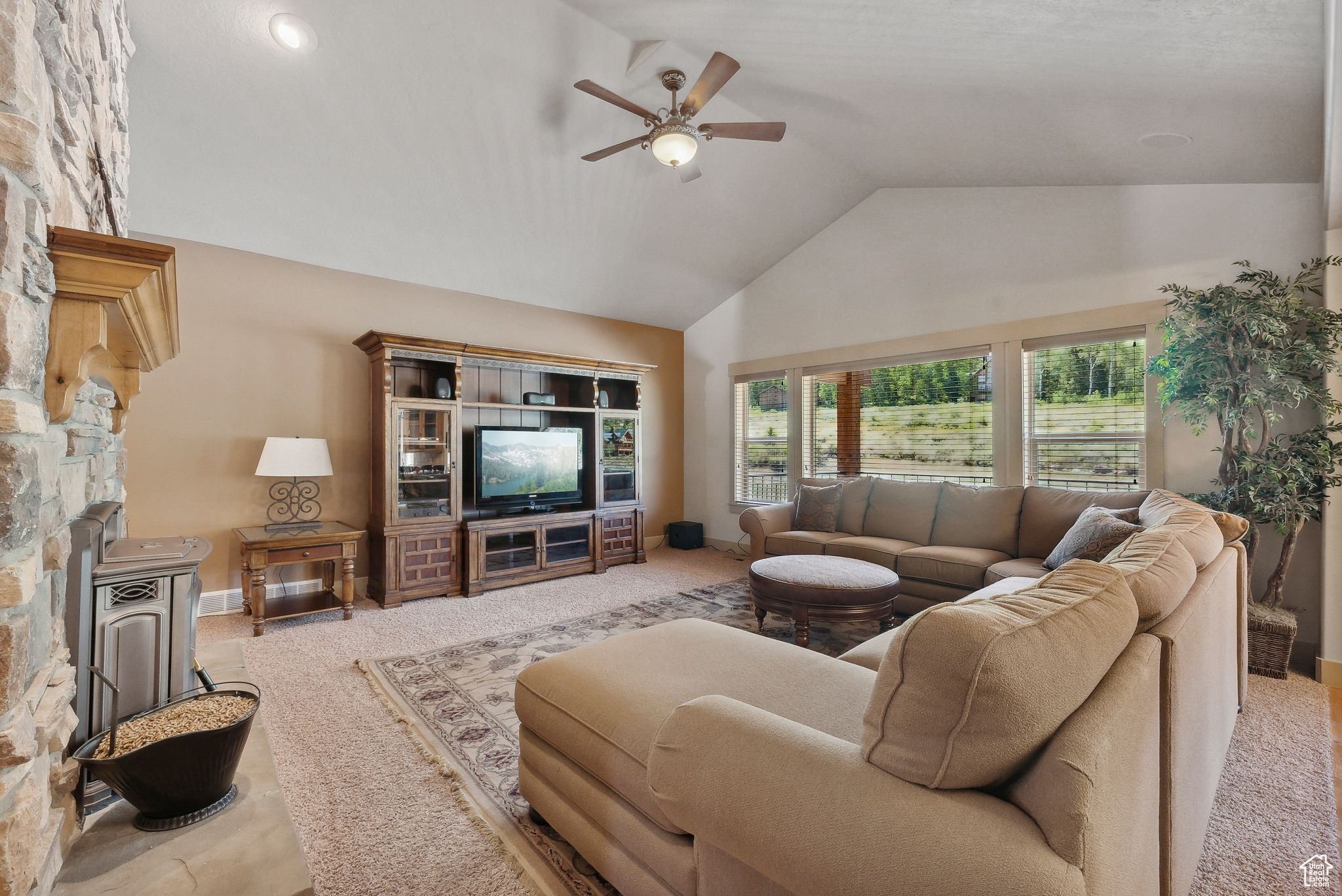 716 CONIFER DR